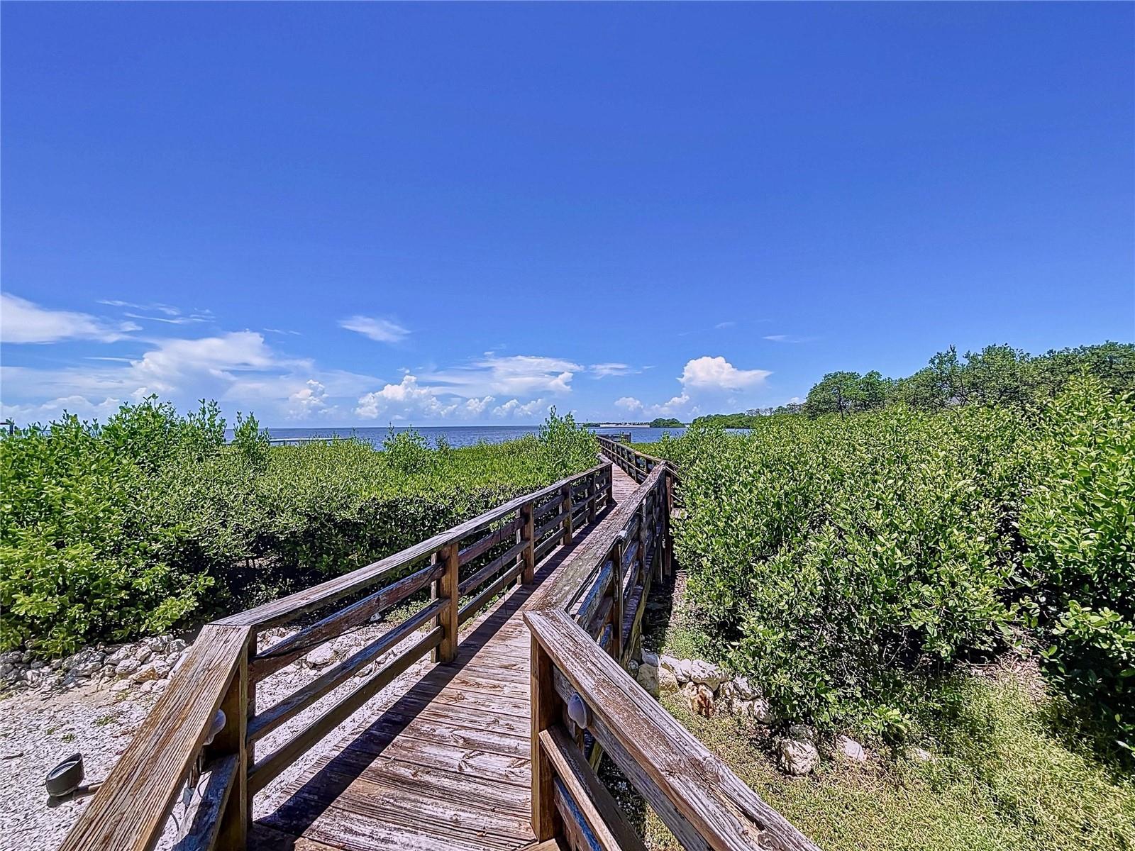 Listing photo id 60 for 511 Seaview Drive