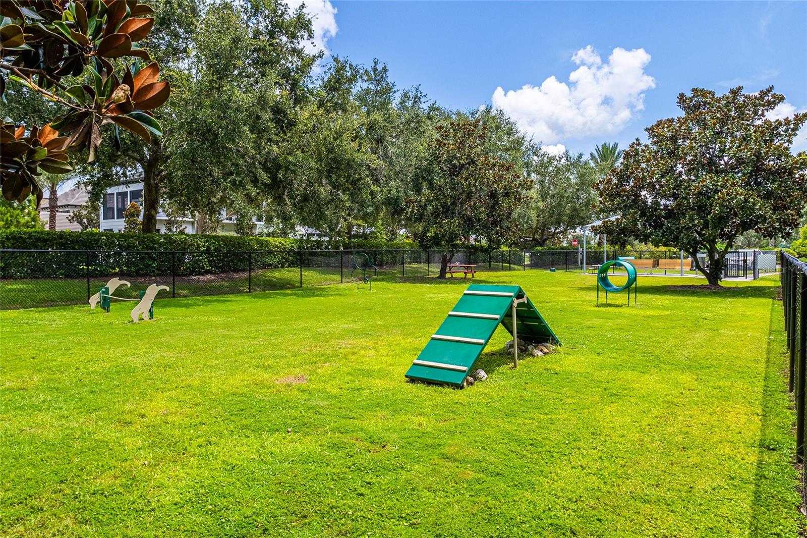 Image 36 of 37 For 8241 Pavia Way