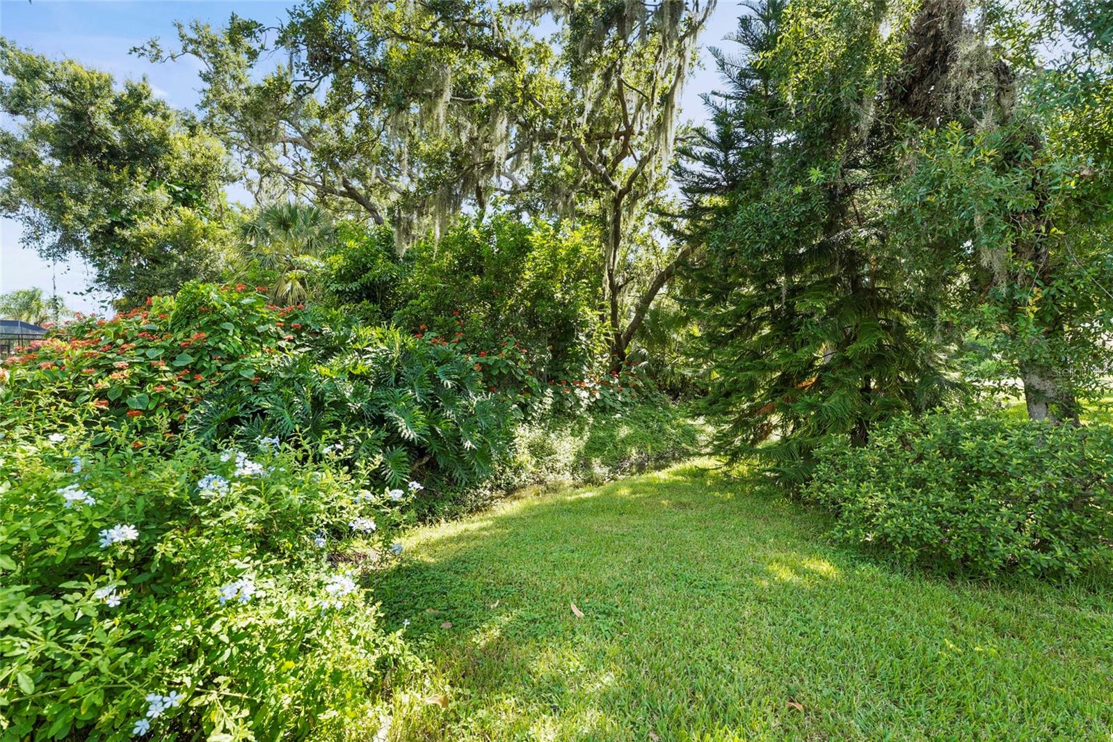 Image 60 of 76 For 2162 Cork Oak Street