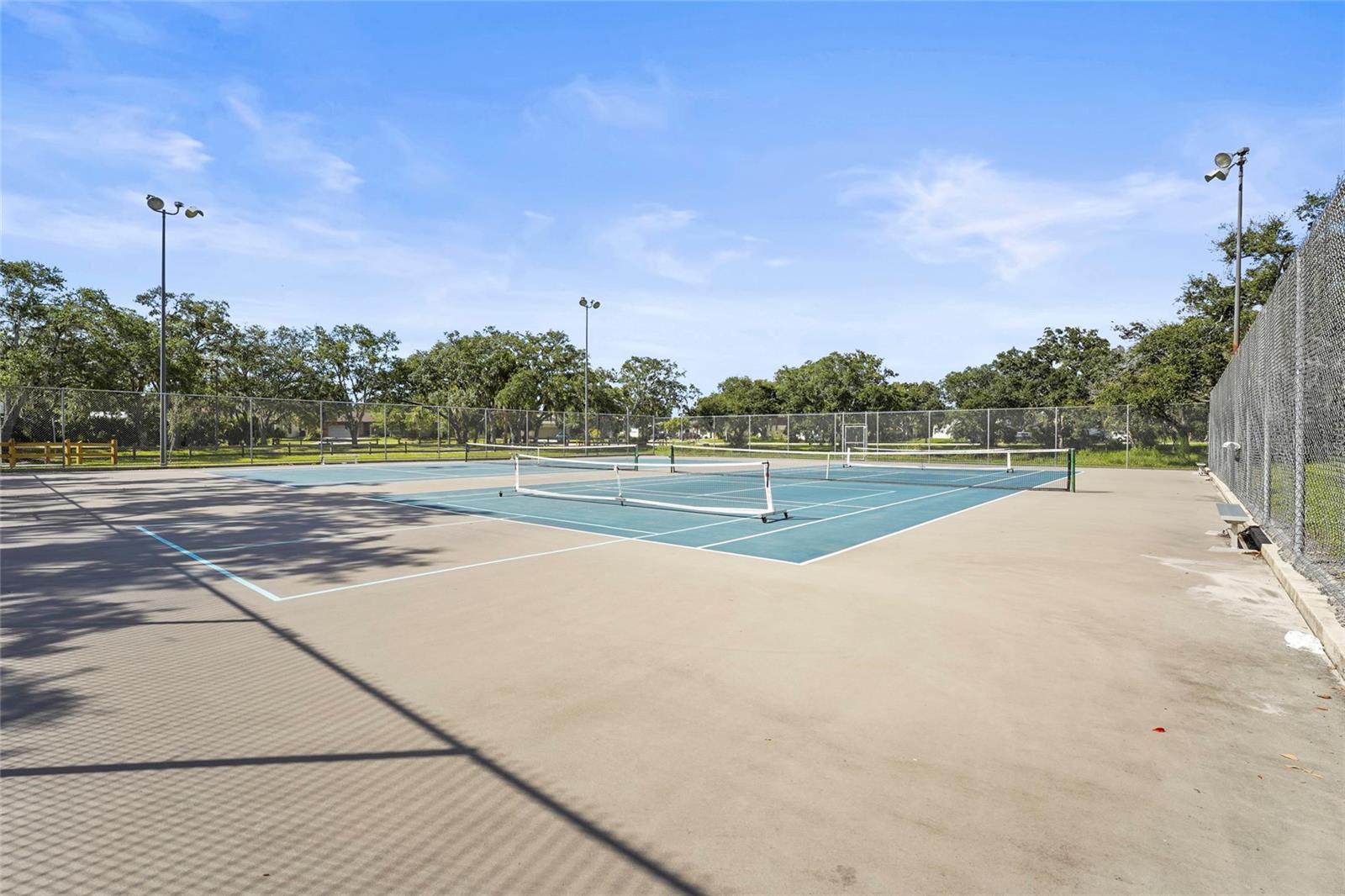 Image 73 of 76 For 2162 Cork Oak Street