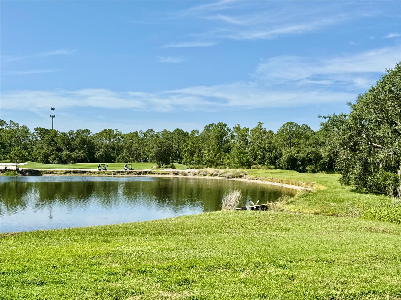 Image 18 of 70 For 16706 Vardon Terrace 104