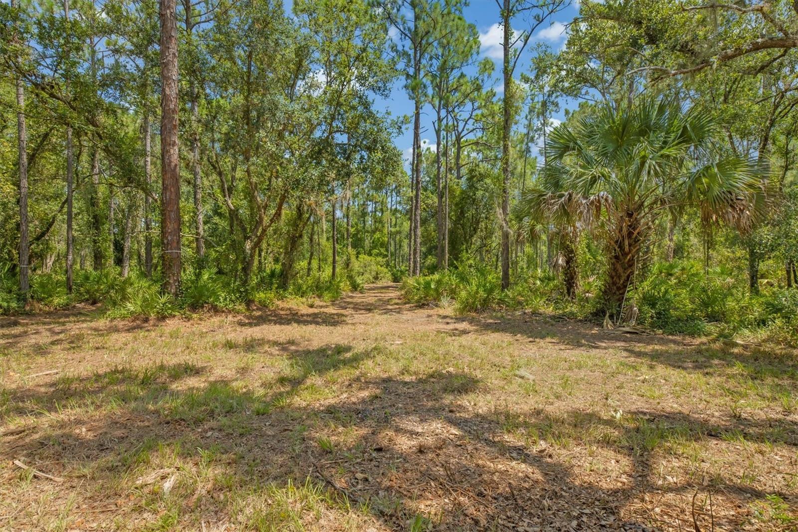 Image 12 of 27 For 9435 Swaying Branch Road