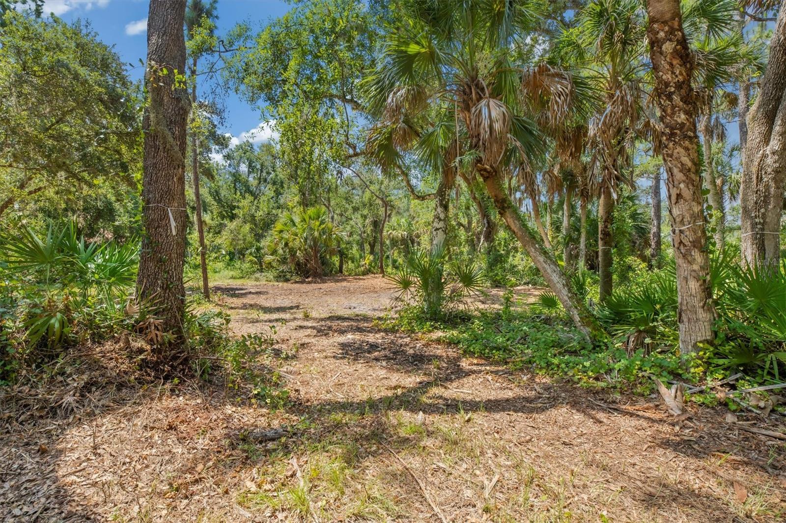 Image 13 of 27 For 9435 Swaying Branch Road