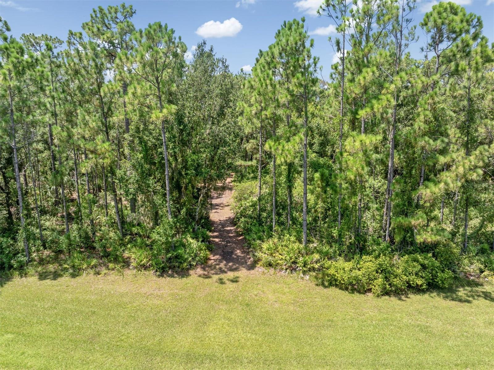 Image 14 of 27 For 9435 Swaying Branch Road
