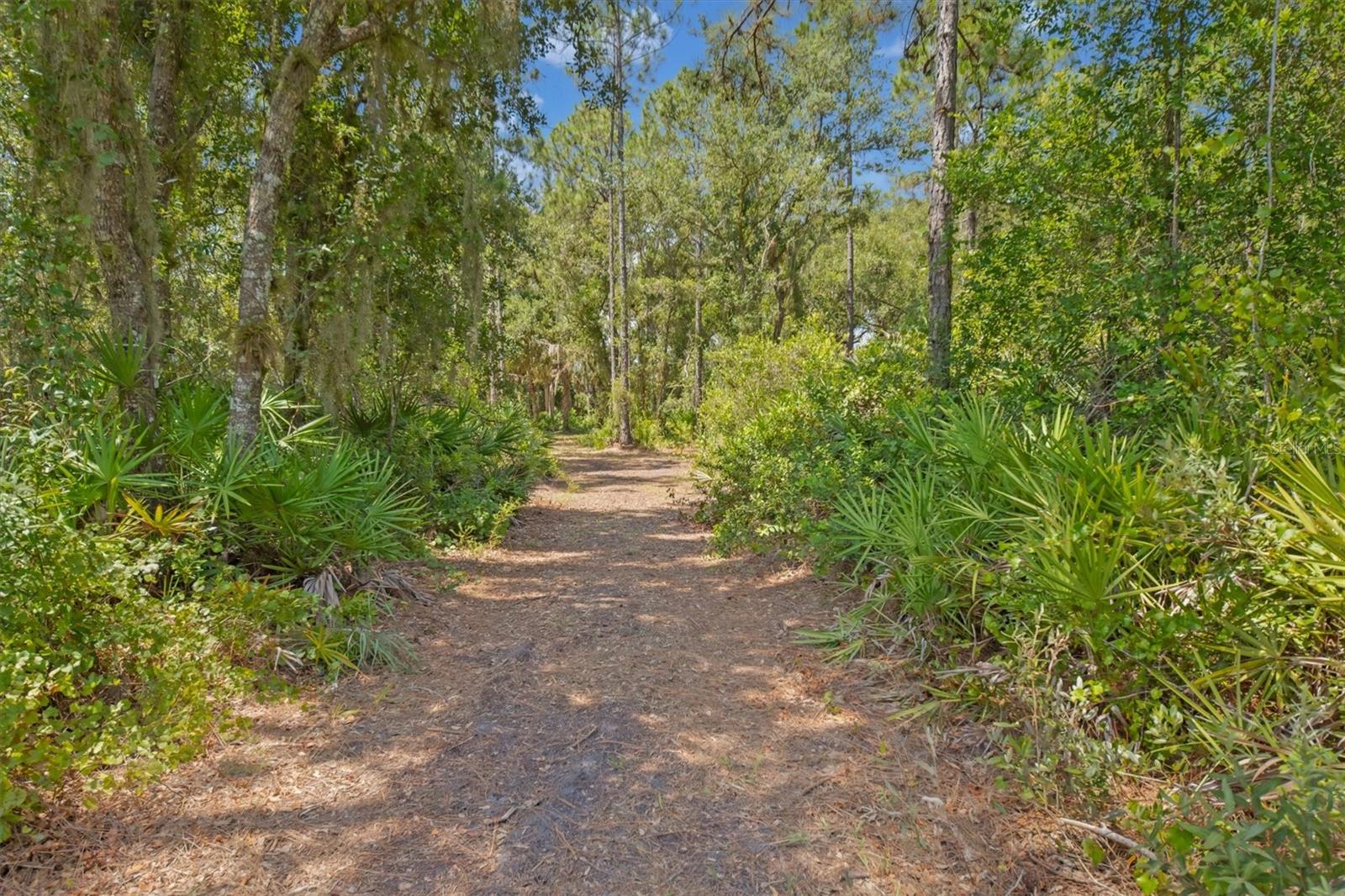 Image 7 of 27 For 9435 Swaying Branch Road