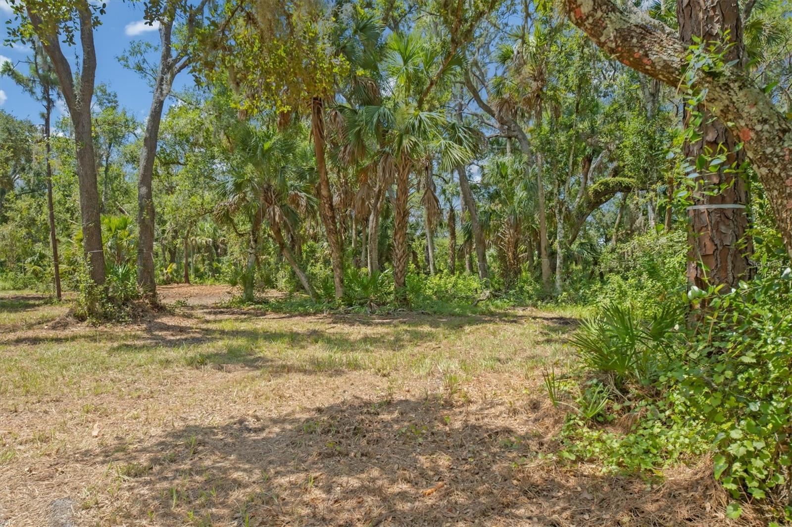Image 8 of 27 For 9435 Swaying Branch Road