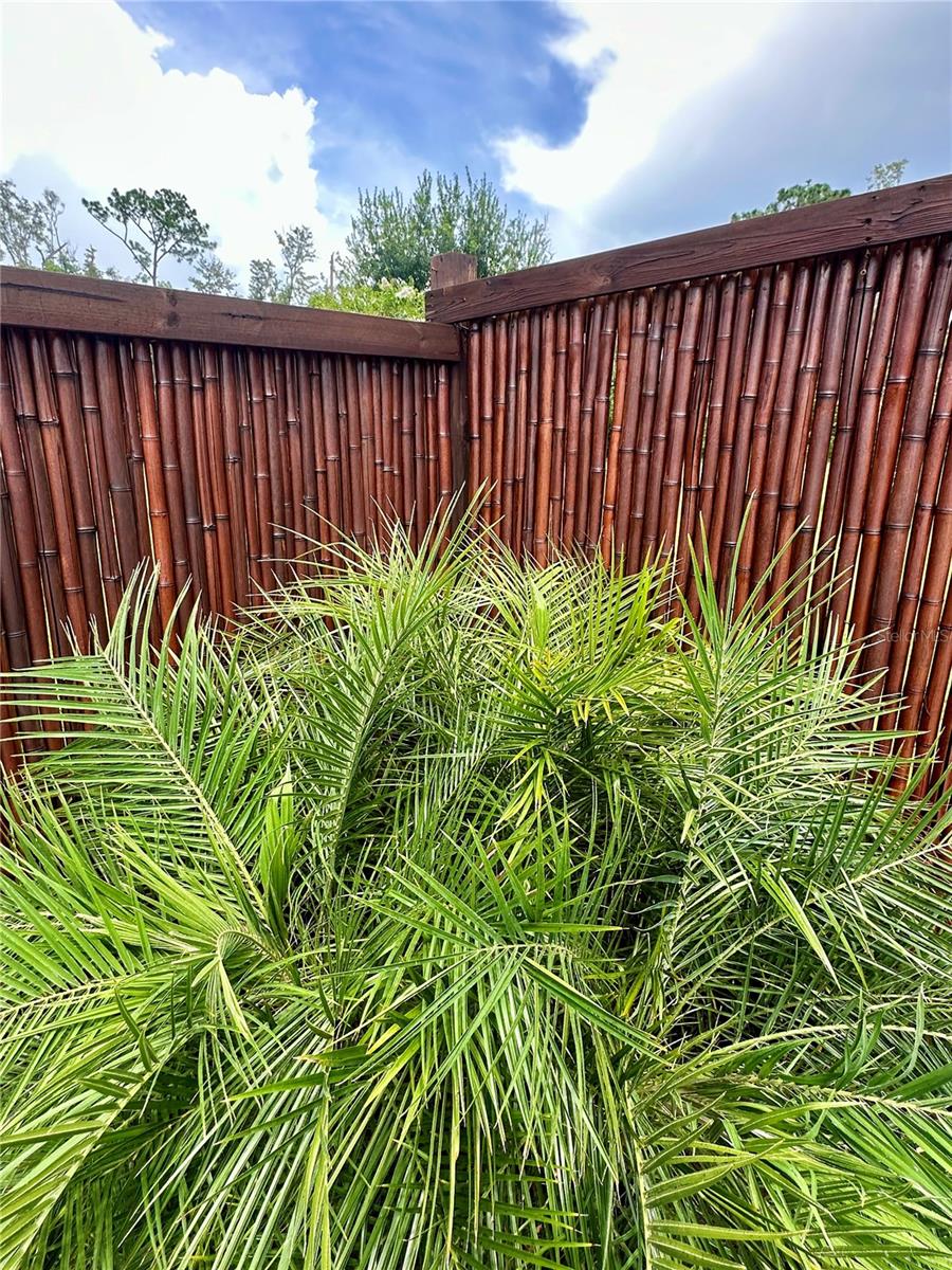 Image 30 of 36 For 5310 Tuttle Avenue