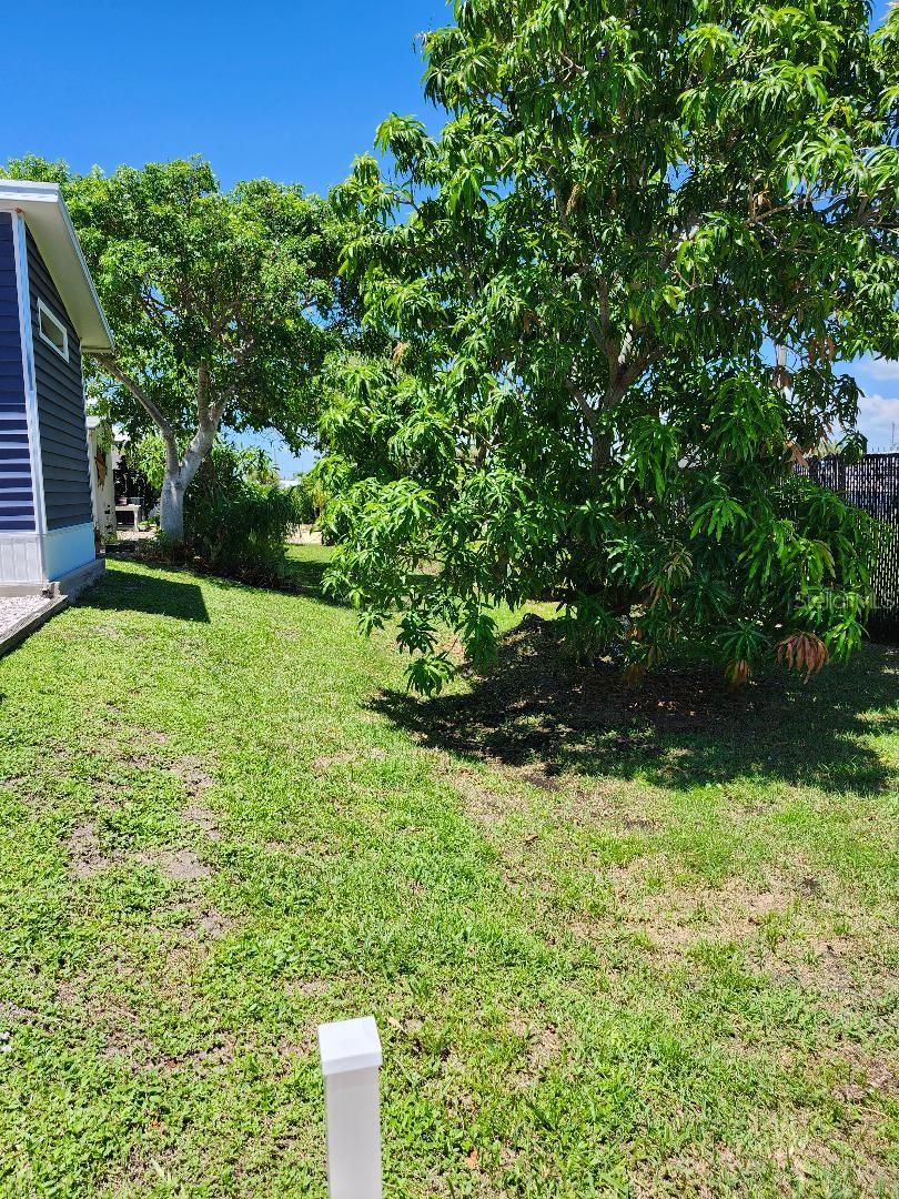 Image 10 of 41 For 6819 Massachusetts Street