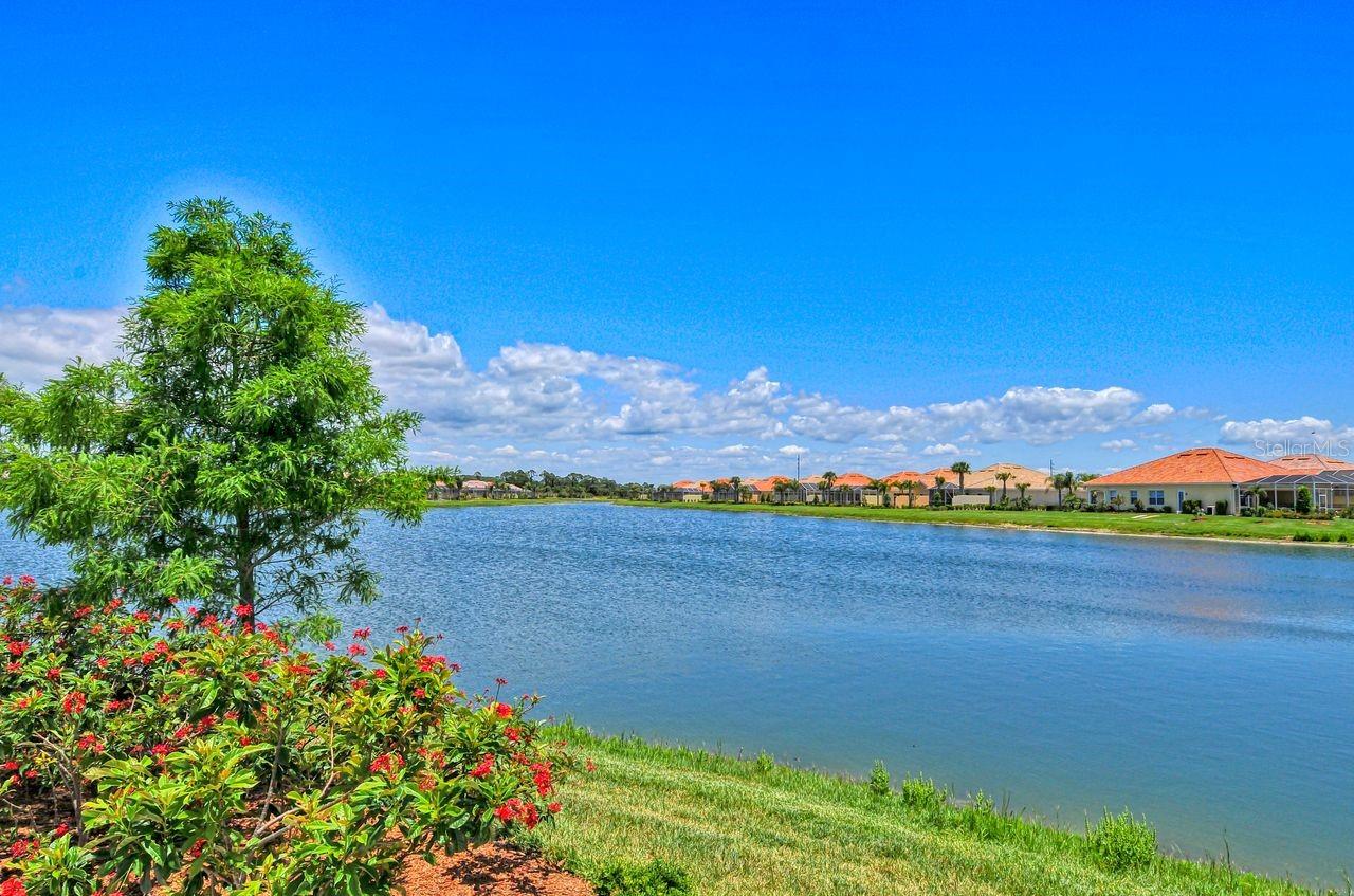 Image 52 of 66 For 1531 Burgos Drive