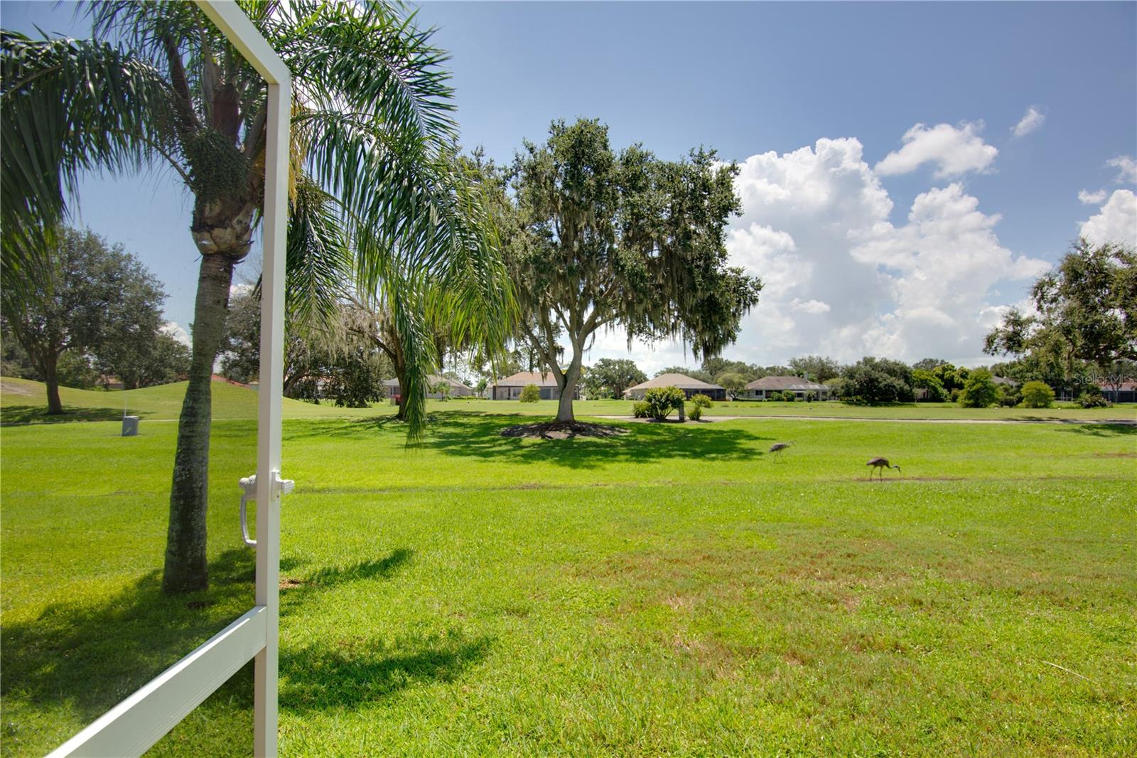Image 41 of 78 For 9996 Cherry Hills Avenue Circle