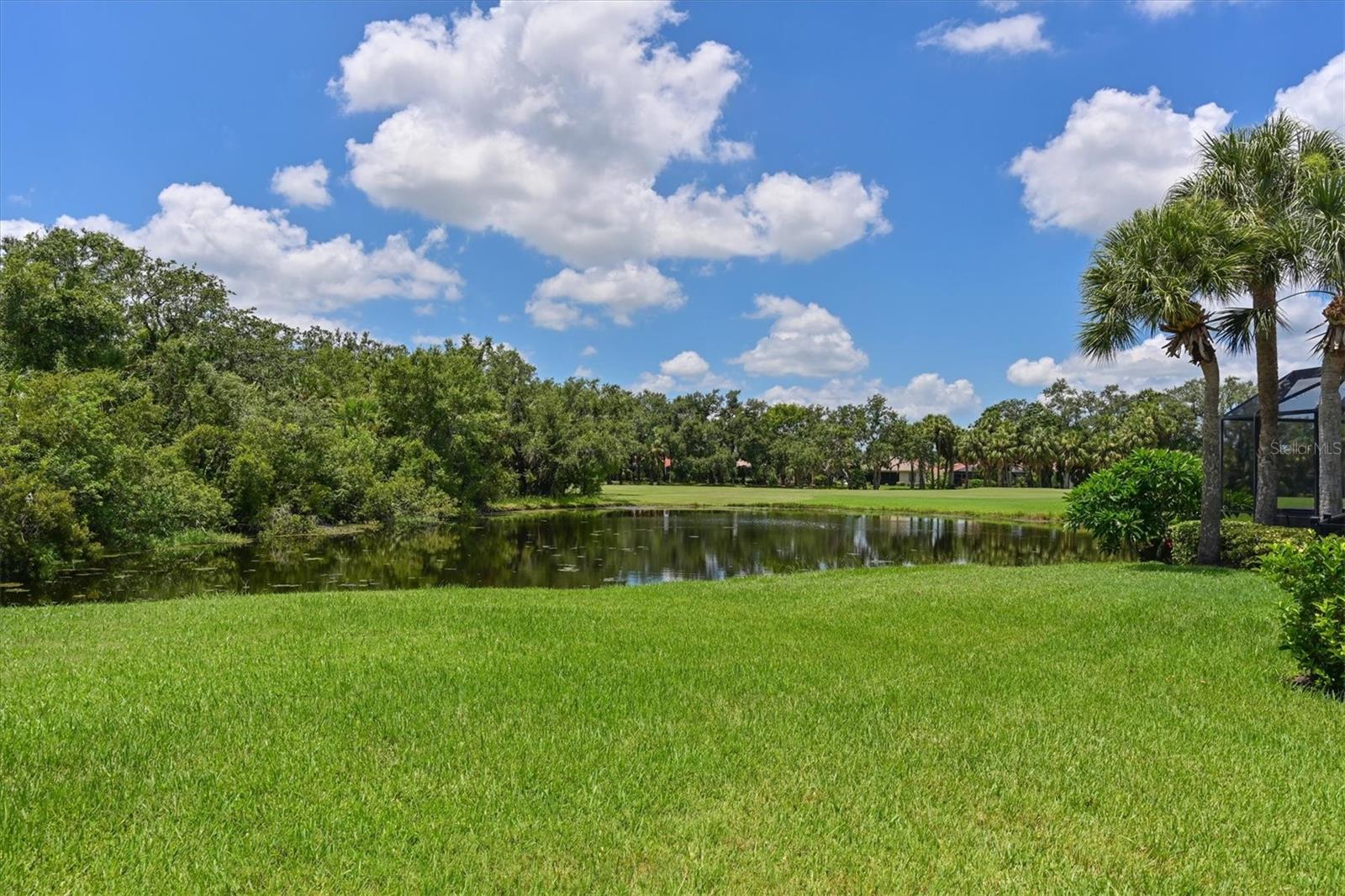 Image 30 of 62 For 604 Misty Pond Court