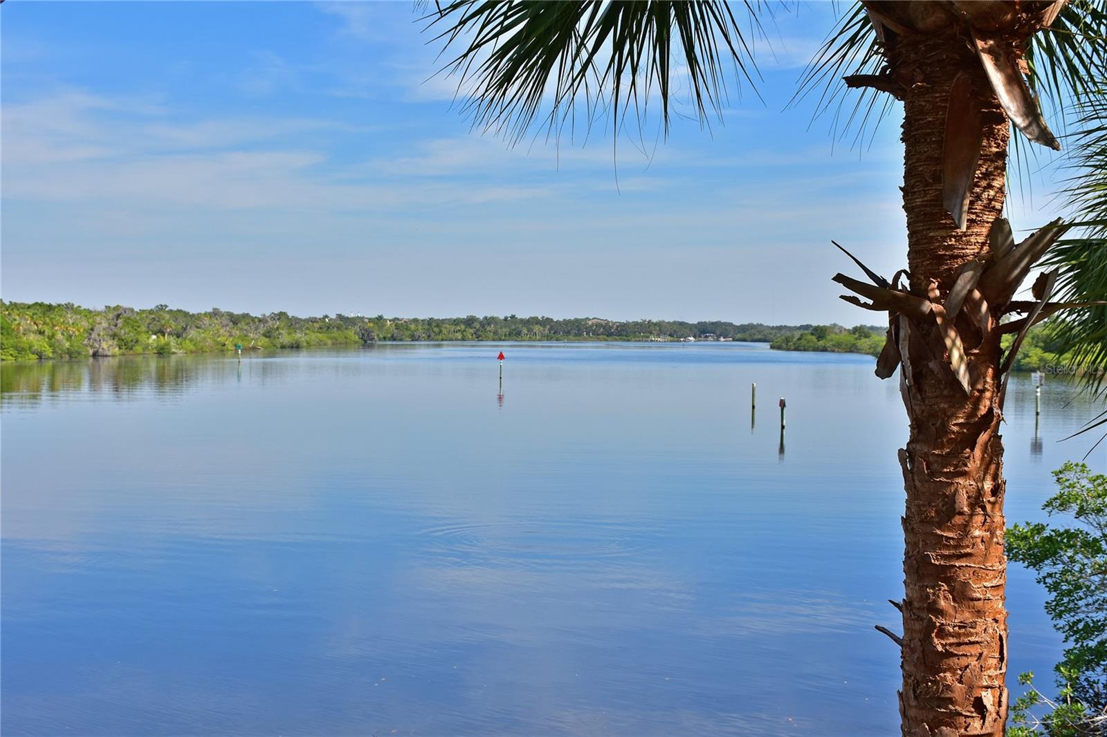 Image 60 of 62 For 604 Misty Pond Court