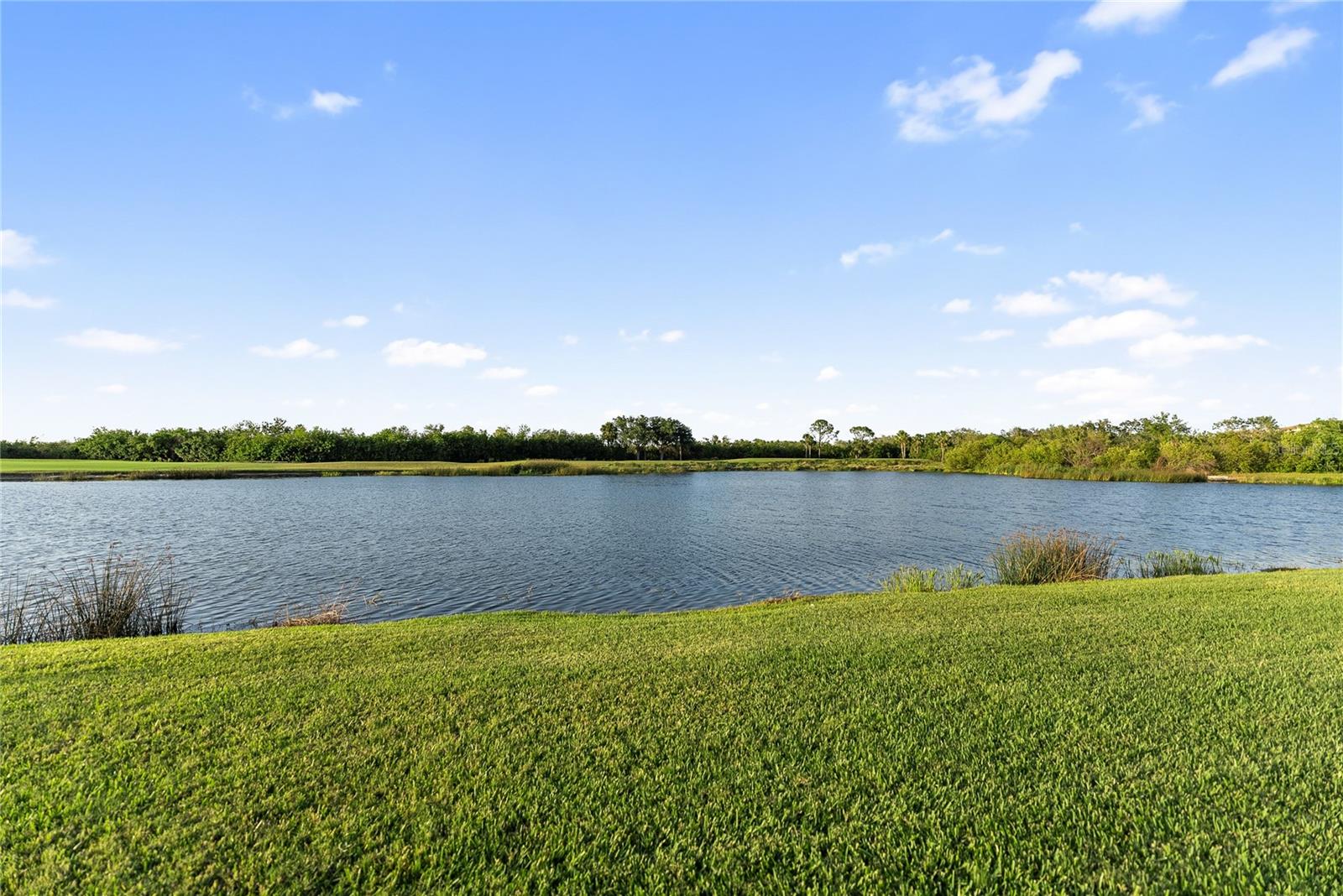 Image 9 of 93 For 7235 River Hammock Drive 103