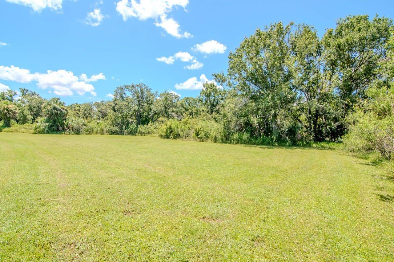 Image 64 of 88 For 772 Rosemary Circle