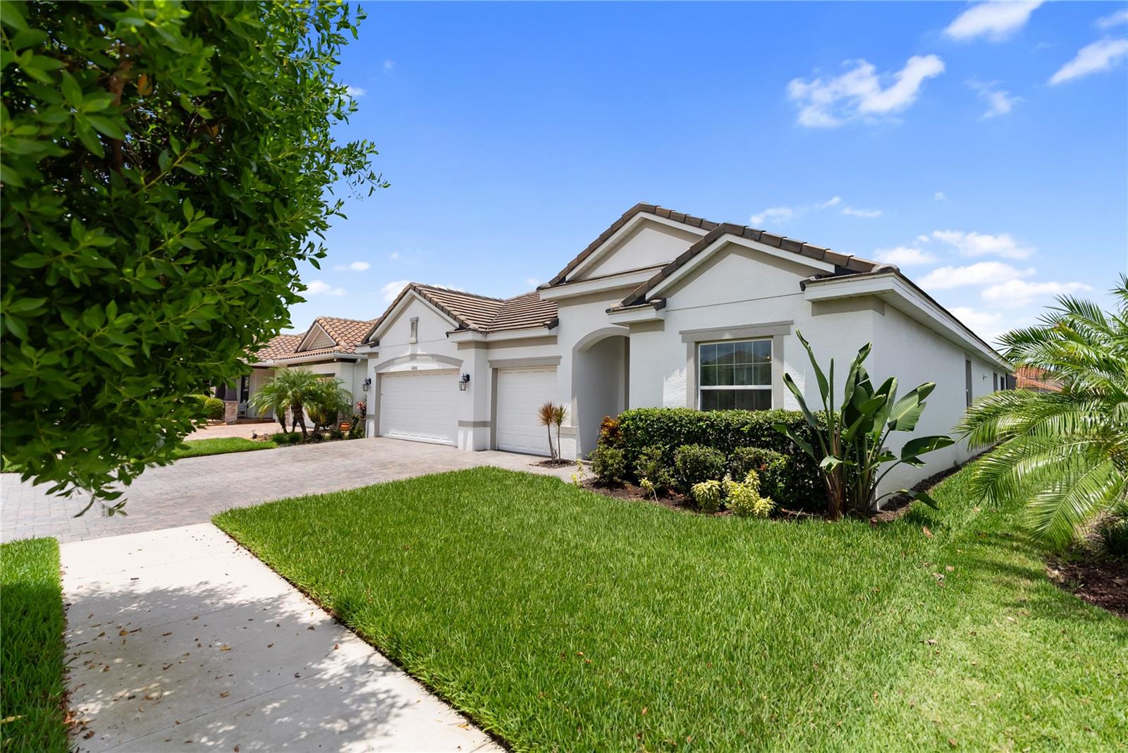 Image 43 of 77 For 12002 Cinnamon Fern Drive