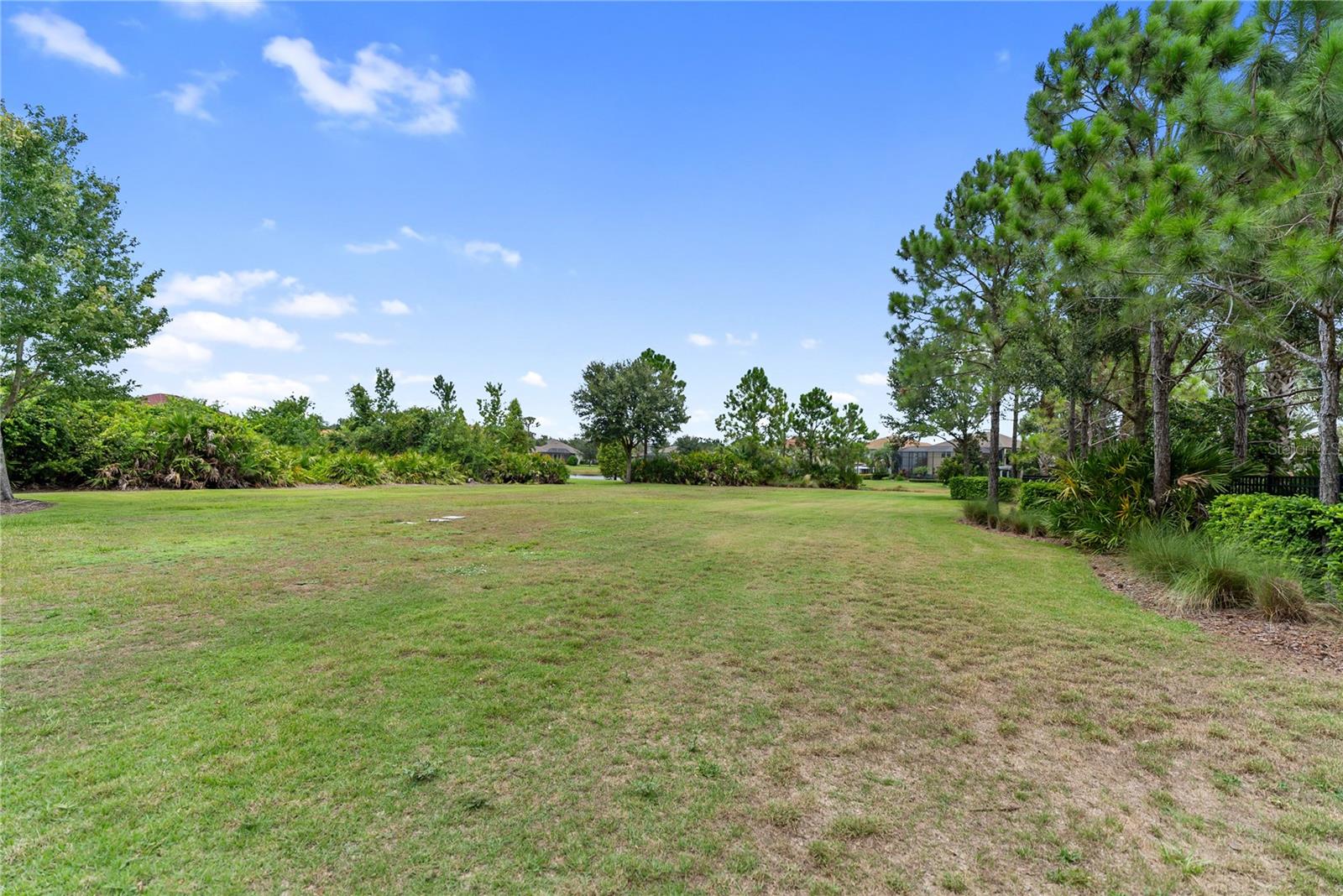 Image 57 of 77 For 12002 Cinnamon Fern Drive