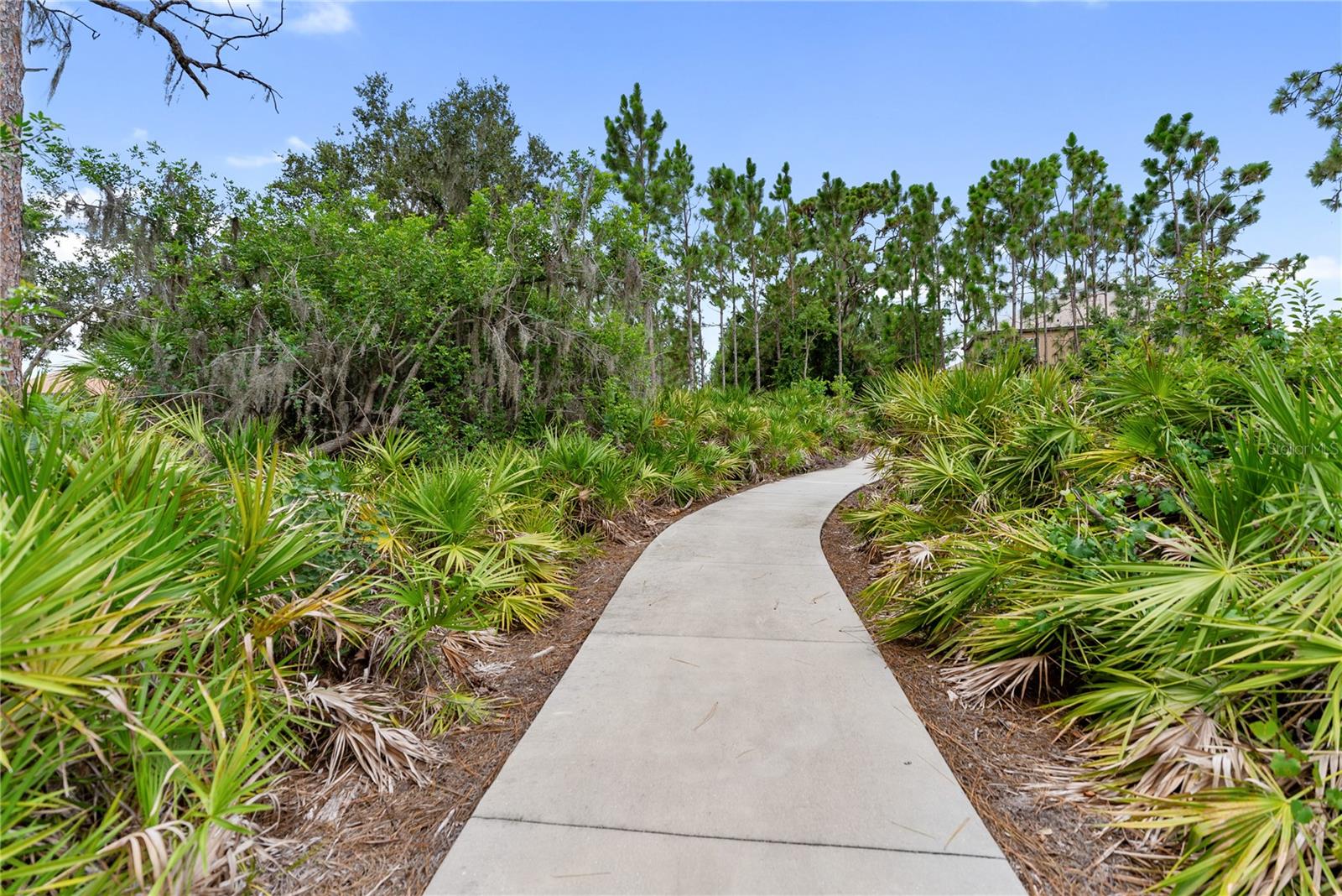 Image 76 of 77 For 12002 Cinnamon Fern Drive