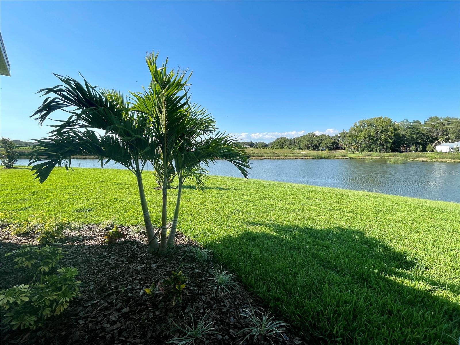 Image 33 of 47 For 11848 Catawba Cove