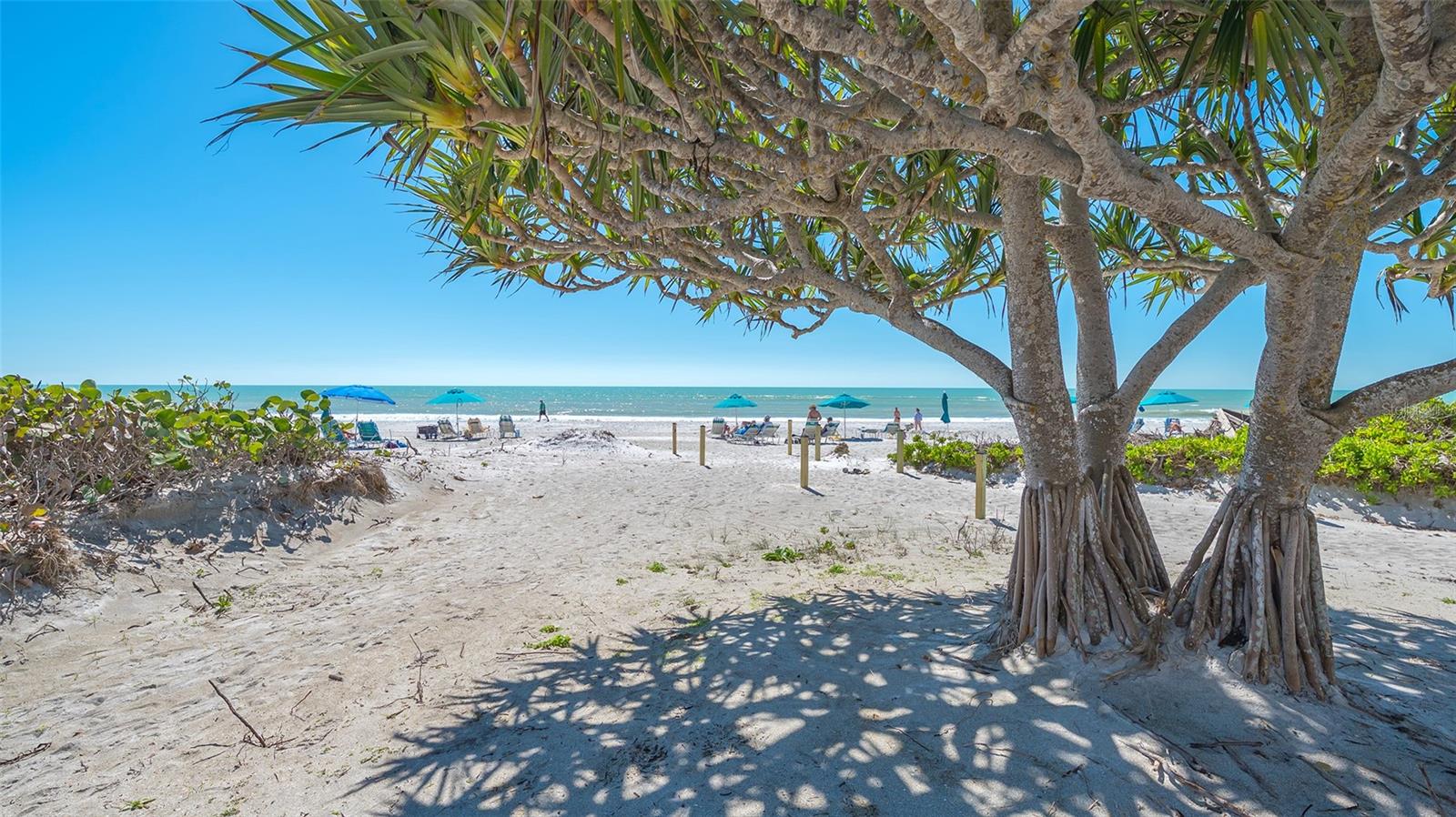 Image 65 of 69 For 2055 Gulf Of Mexico Drive G2-214