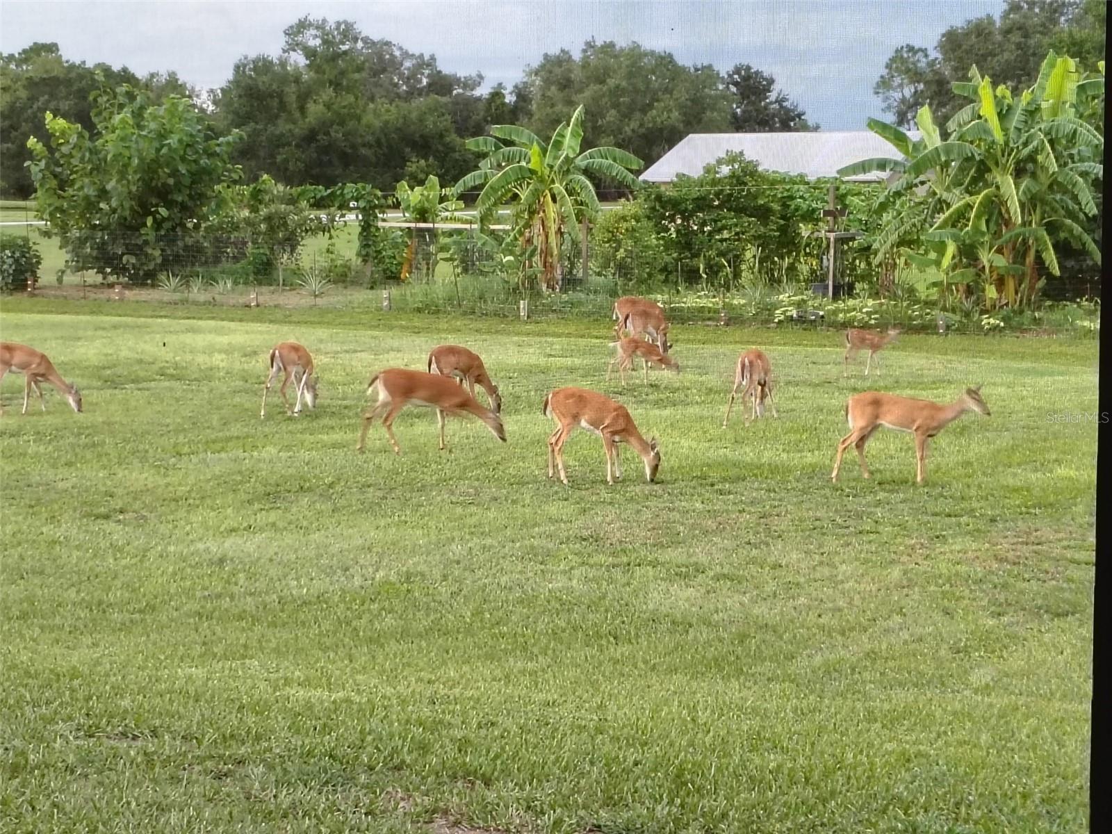 Image 42 of 43 For 4004 Hidden River Lane