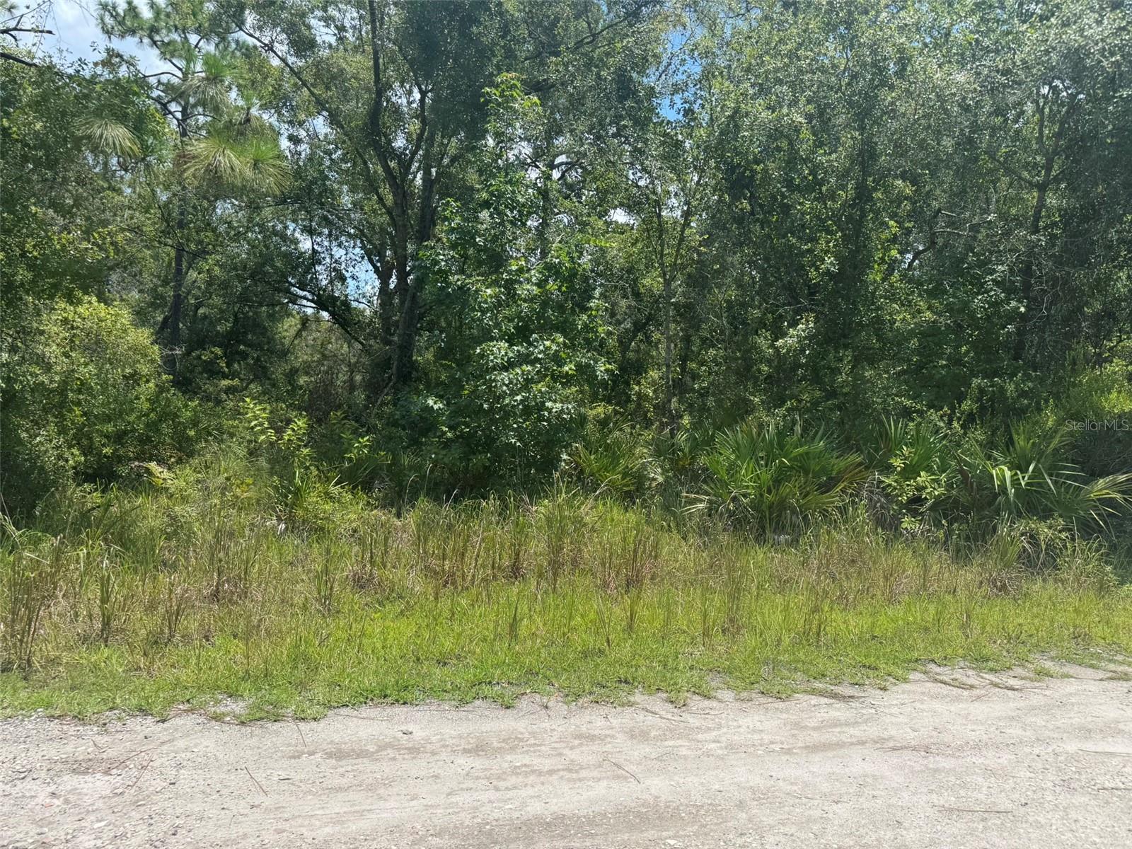 Details for 00 Lisle Avenue, NEW PORT RICHEY, FL 34654