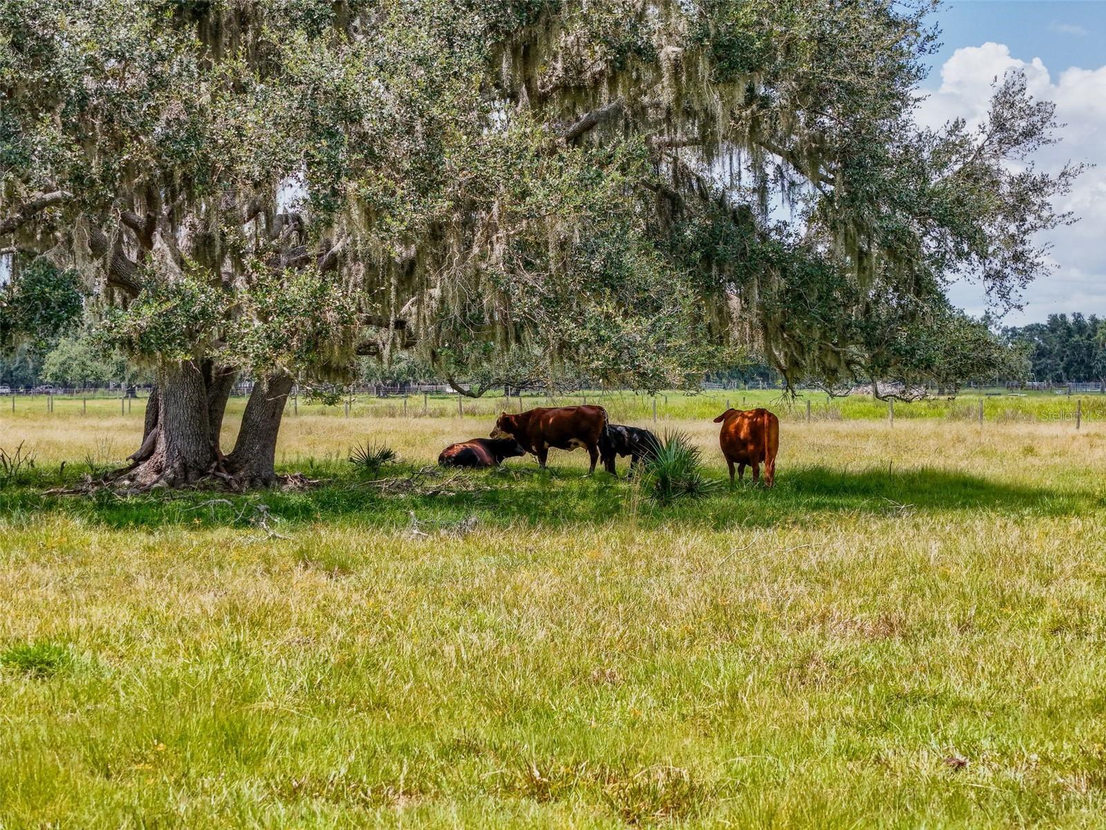 Image 25 of 45 For 12950 River Road