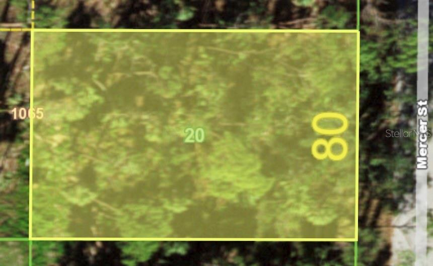 Listing Details for 155 Mercer Street, PORT CHARLOTTE, FL 33954