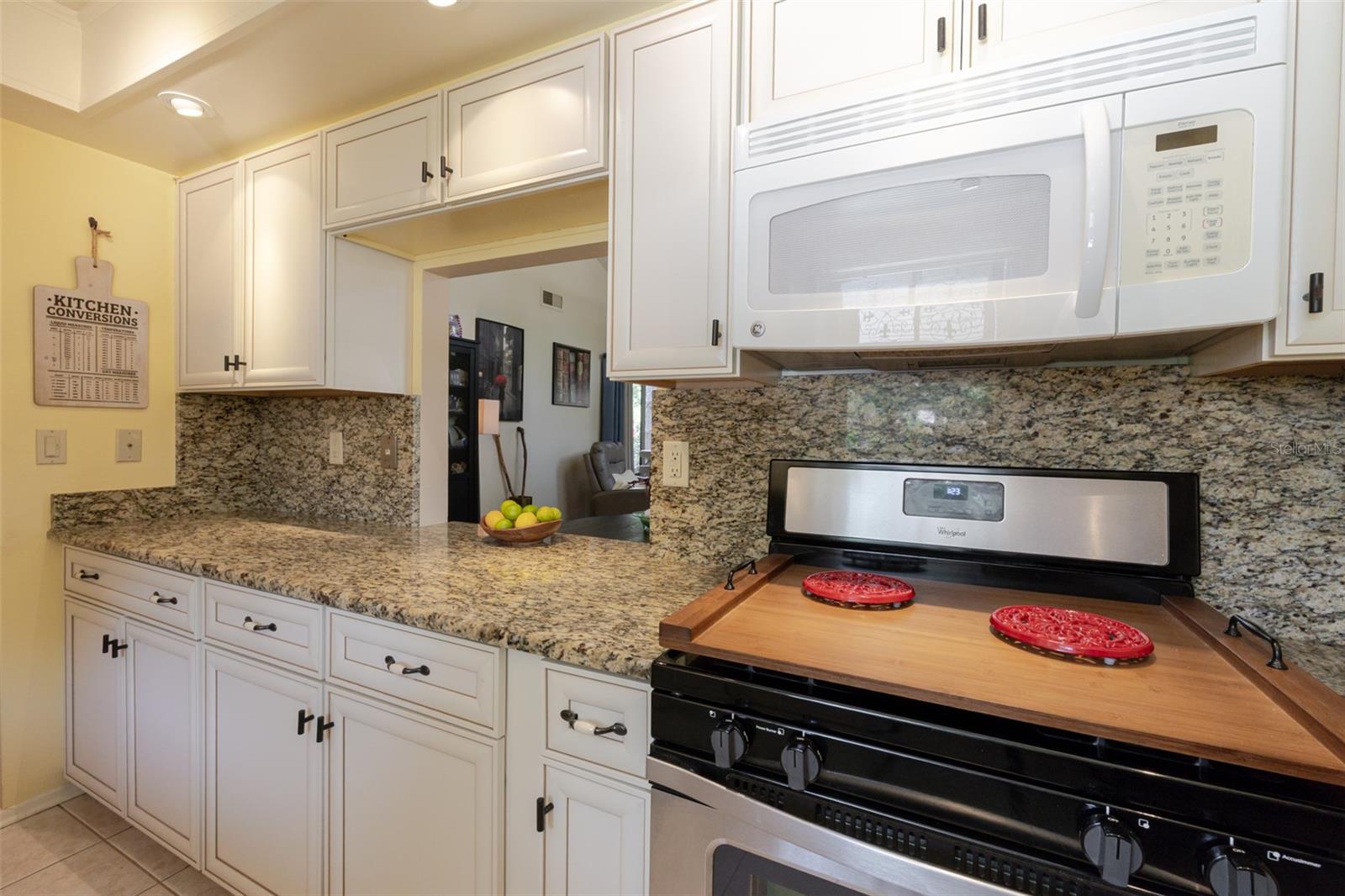 Image 3 of 23 For 4846 Village Gardens Drive