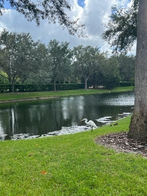 Image 43 of 43 For 7710 Lake Vista Court 302