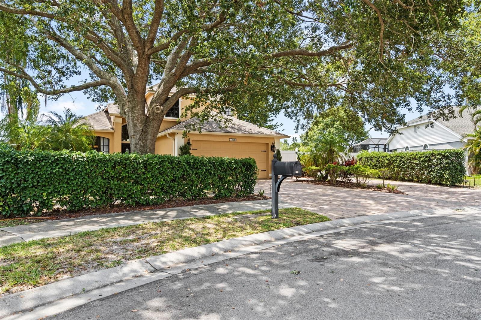 Image 8 of 85 For 1009 45th Street E