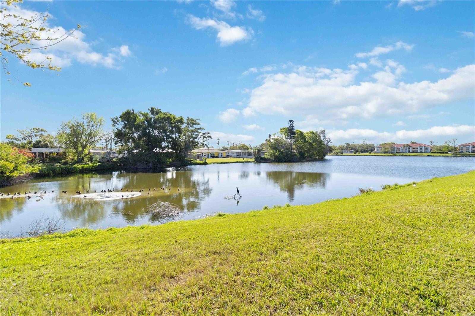 Image 40 of 57 For 1050 Villagio Circle 206