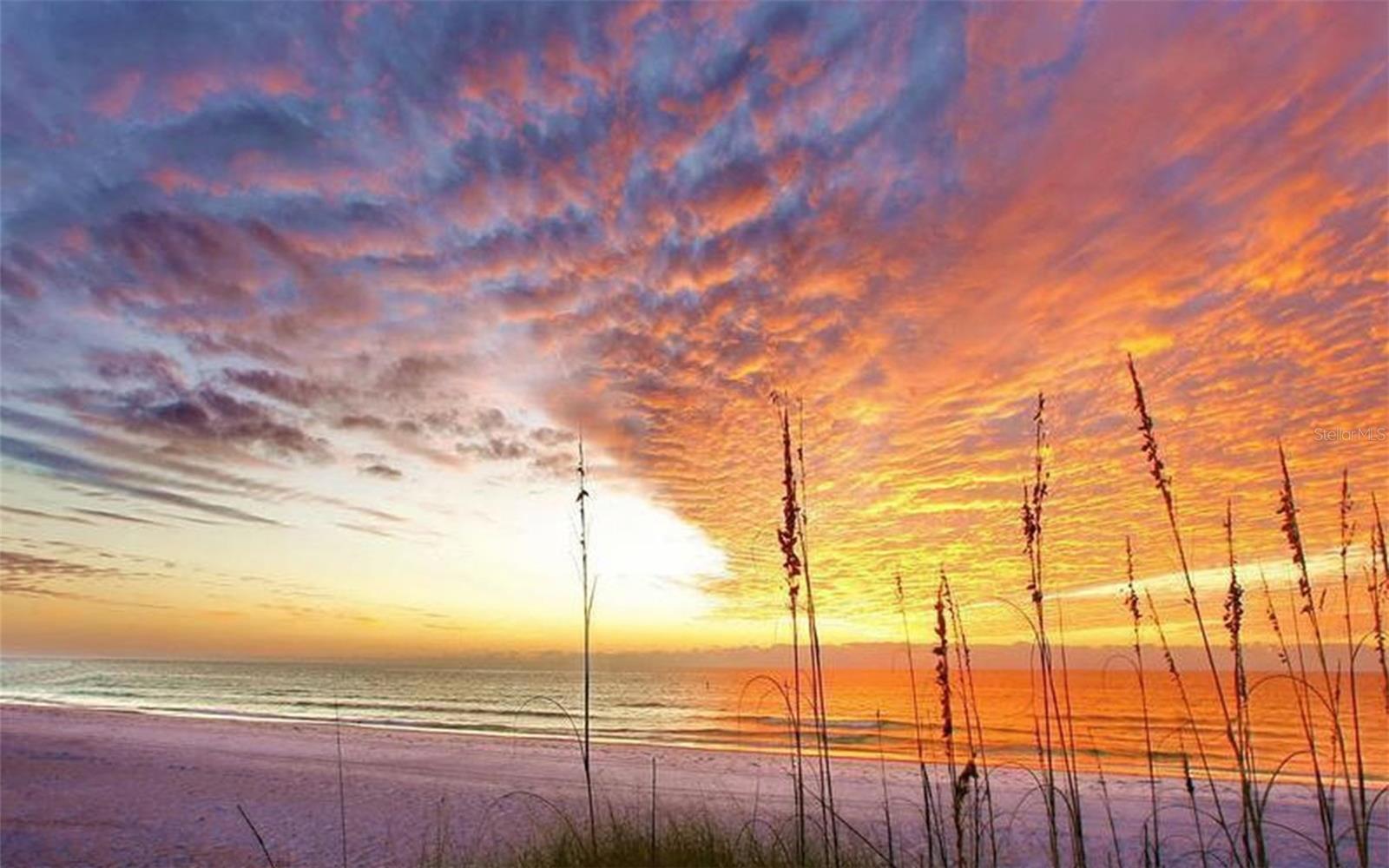 Image 38 of 62 For 2165 Gulf Of Mexico Drive 114