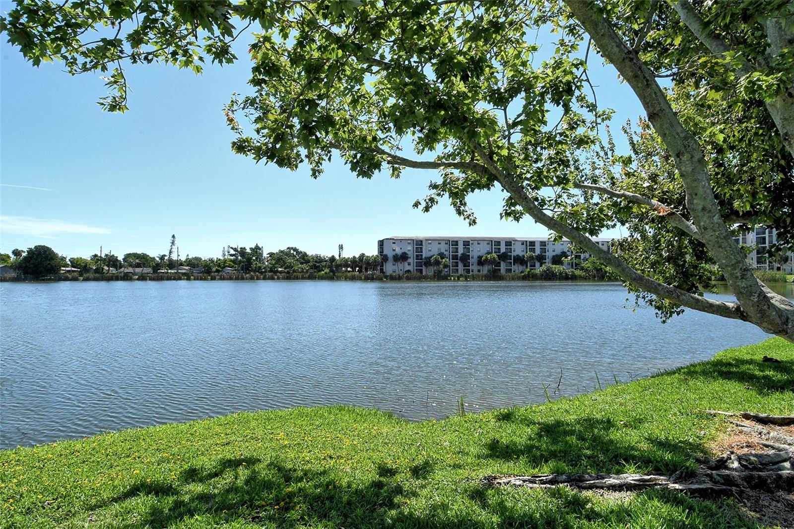Image 51 of 64 For 4130 Heron Way B-115