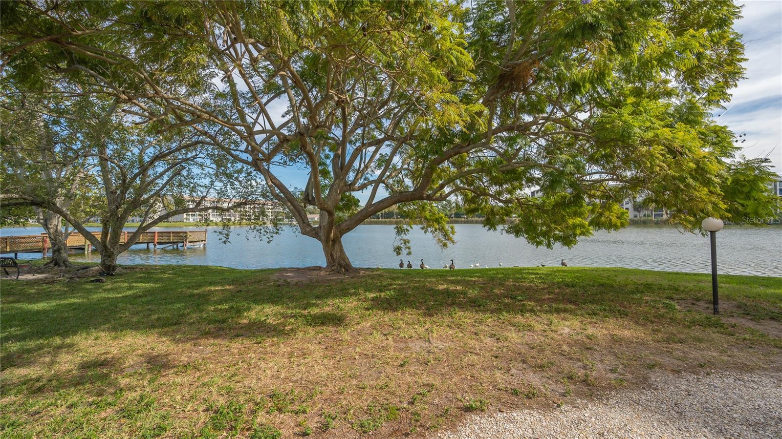 Image 60 of 64 For 4130 Heron Way B-115