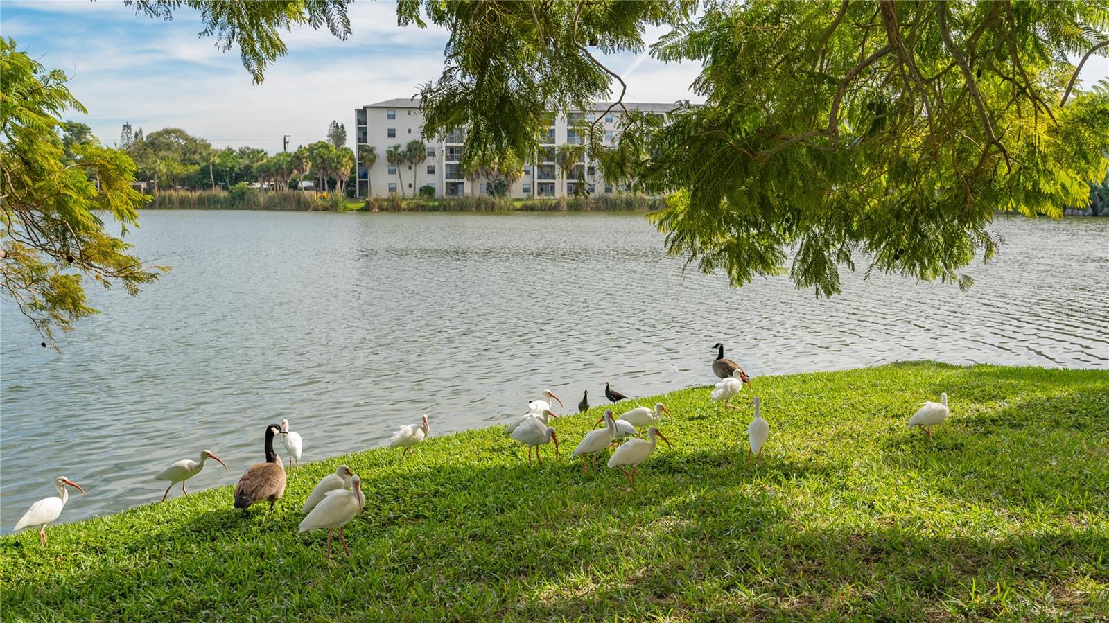 Image 62 of 64 For 4130 Heron Way B-115