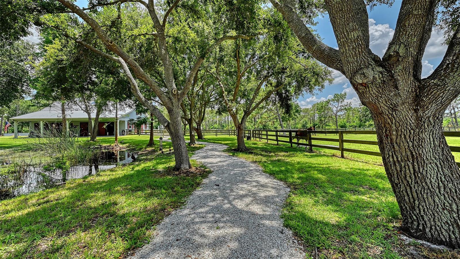 Listing photo id 75 for 6910 211th Street E