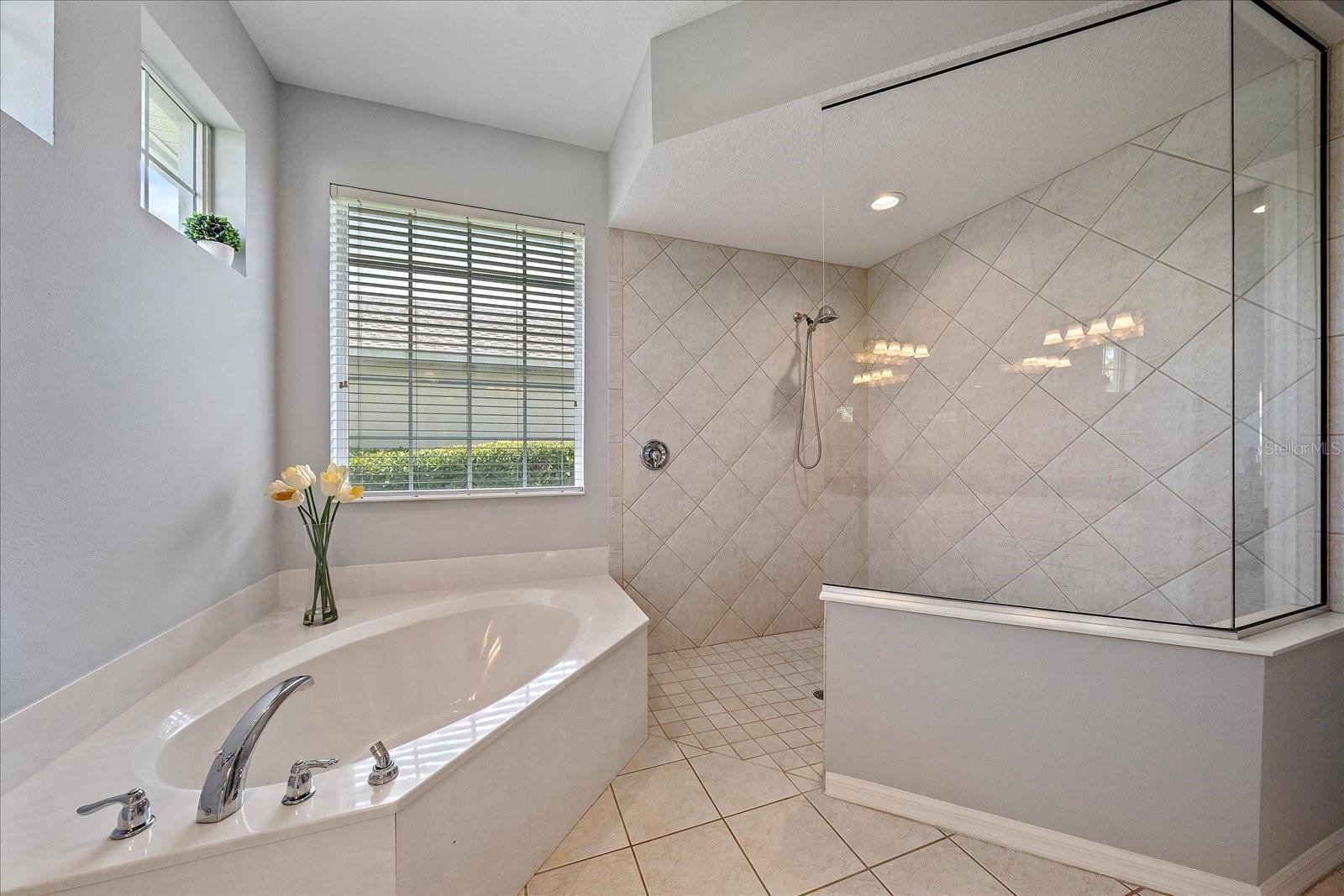 Image 25 of 40 For 8015 Spring Marsh Drive