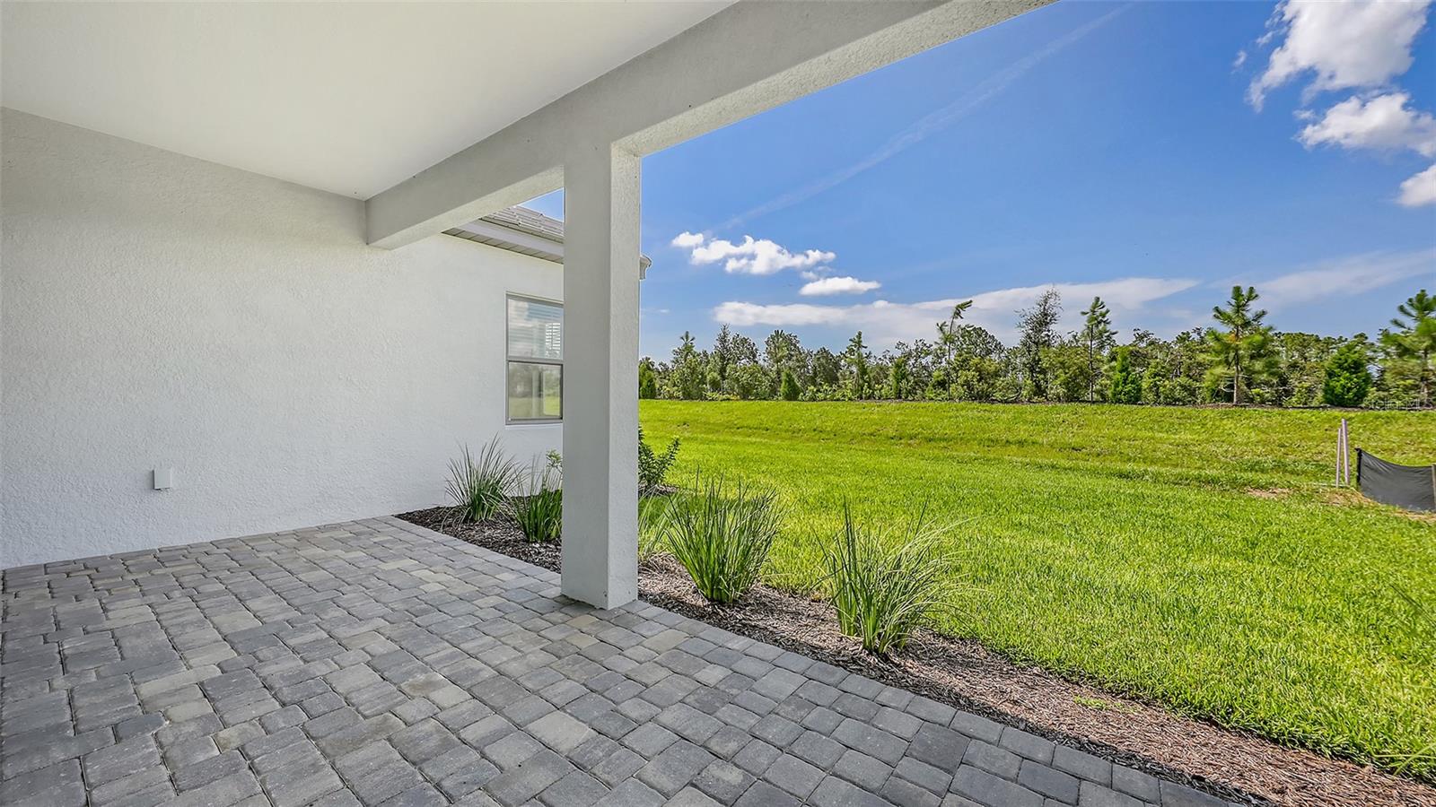 Image 46 of 46 For 2234 Lady Palm Loop