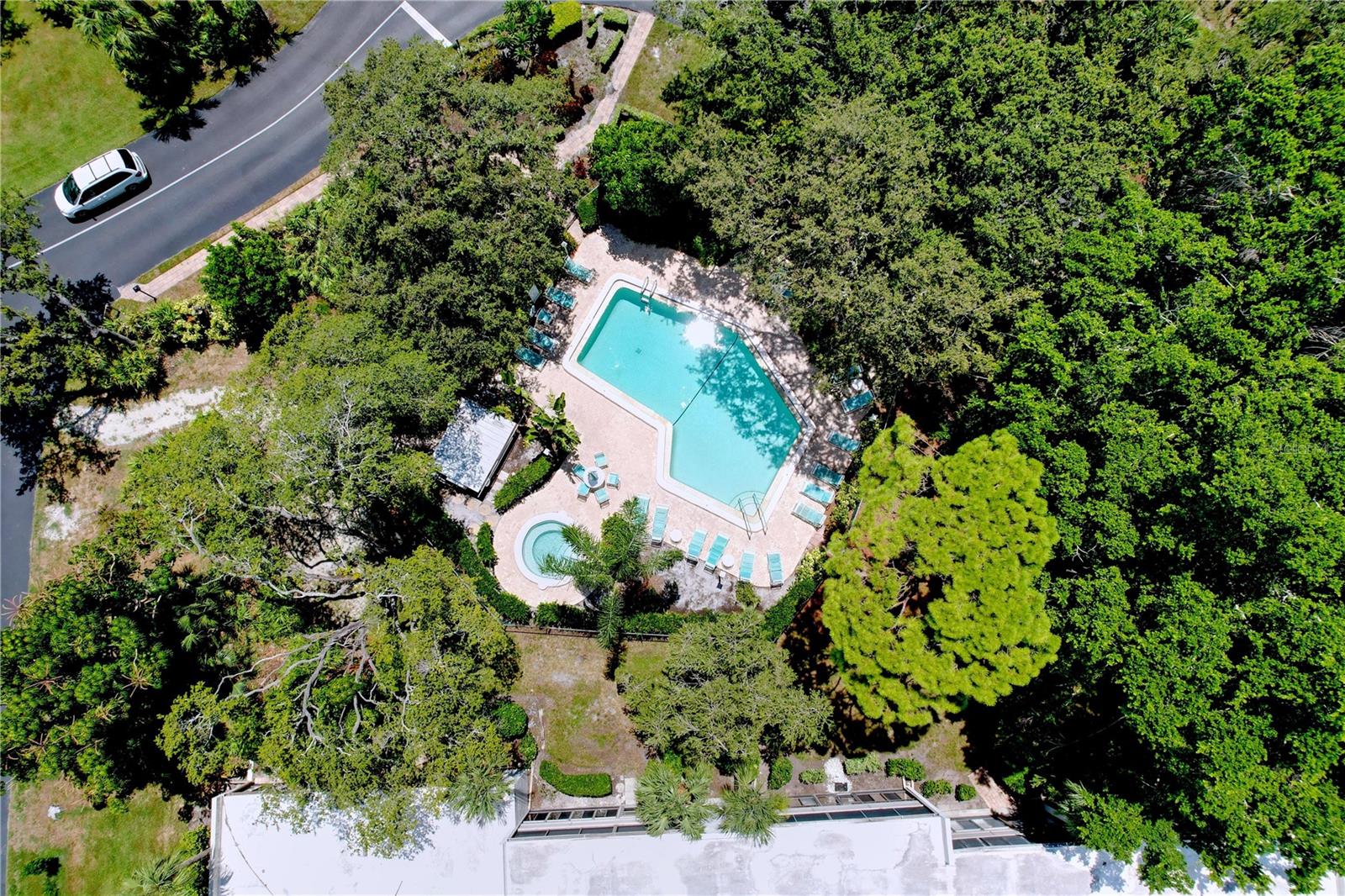 Image 59 of 73 For 151 Wild Palm Drive