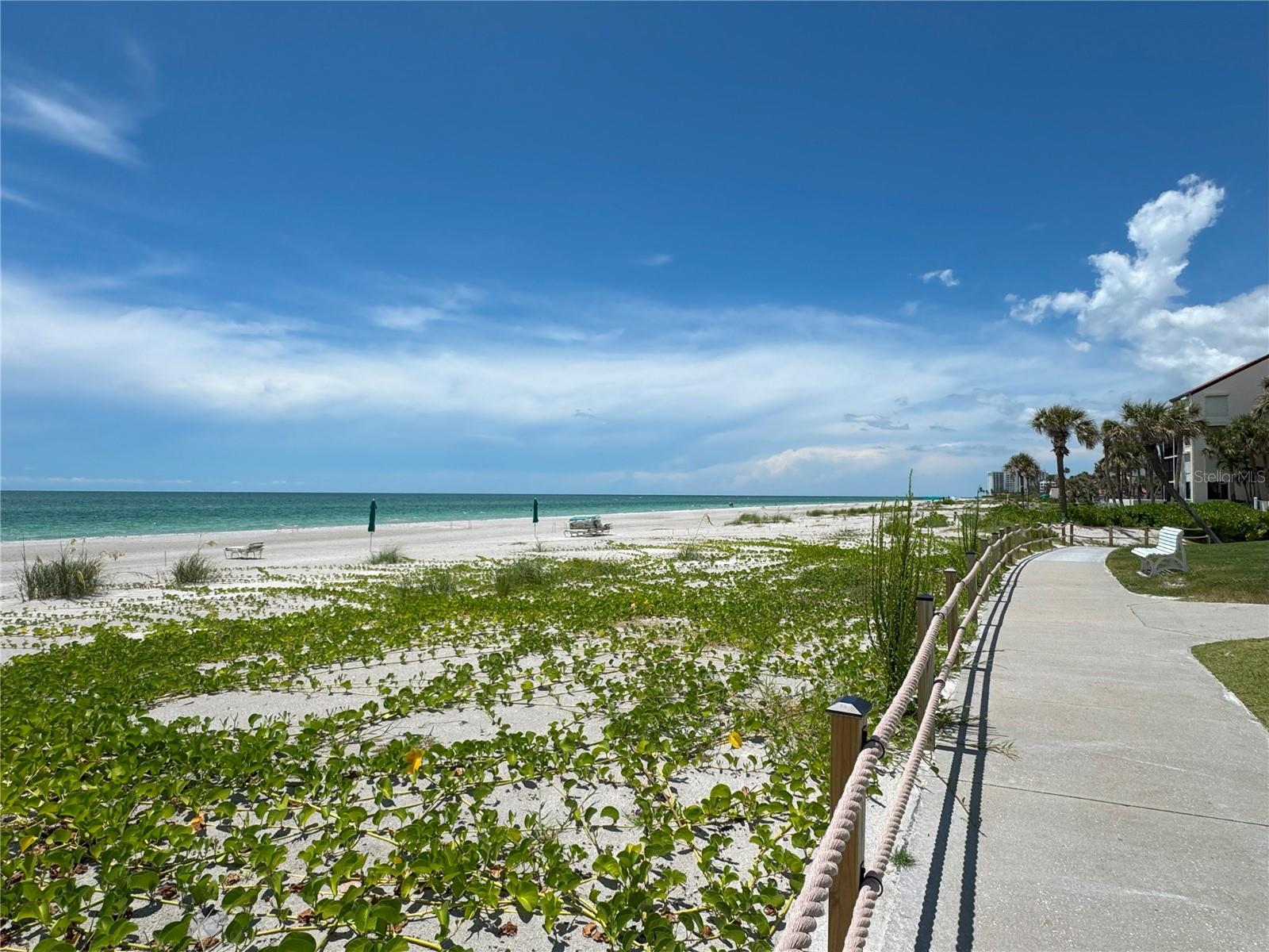 Image 71 of 100 For 1945 Gulf Of Mexico Drive M2-213