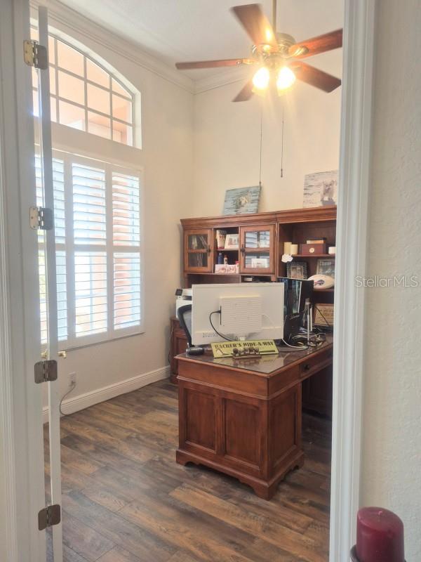 Listing photo id 15 for 6408 Rubia Circle