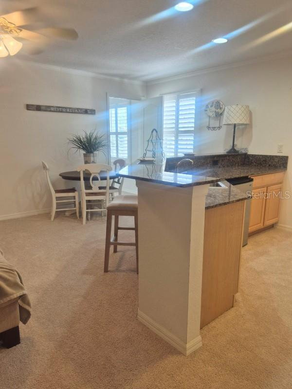 Listing photo id 22 for 6408 Rubia Circle
