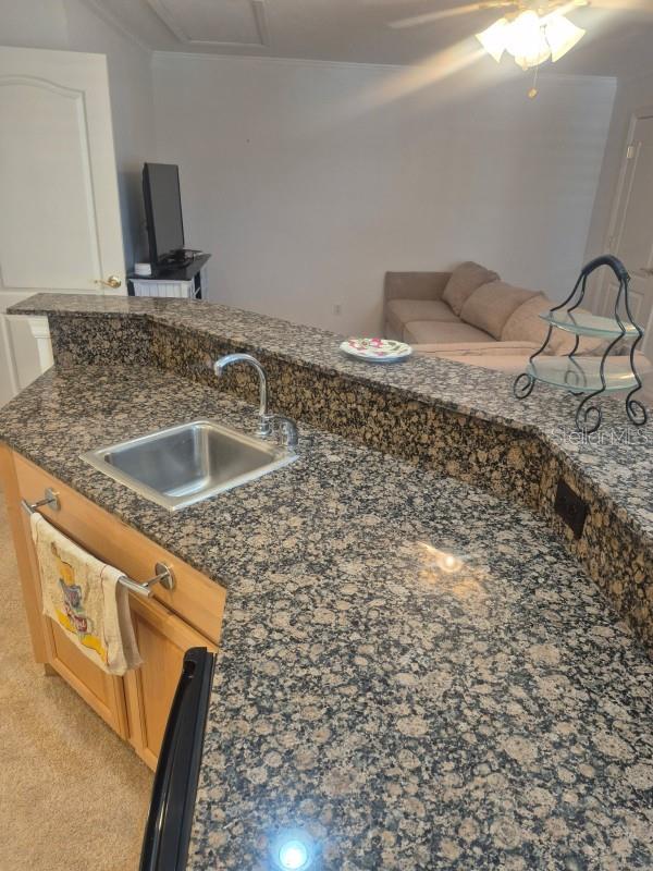 Listing photo id 23 for 6408 Rubia Circle