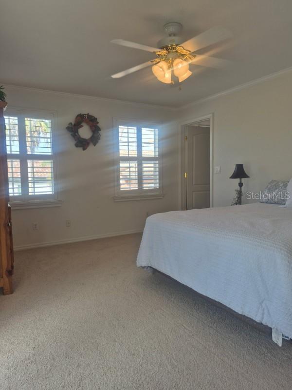 Listing photo id 25 for 6408 Rubia Circle