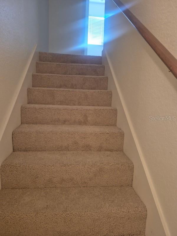 Listing photo id 27 for 6408 Rubia Circle