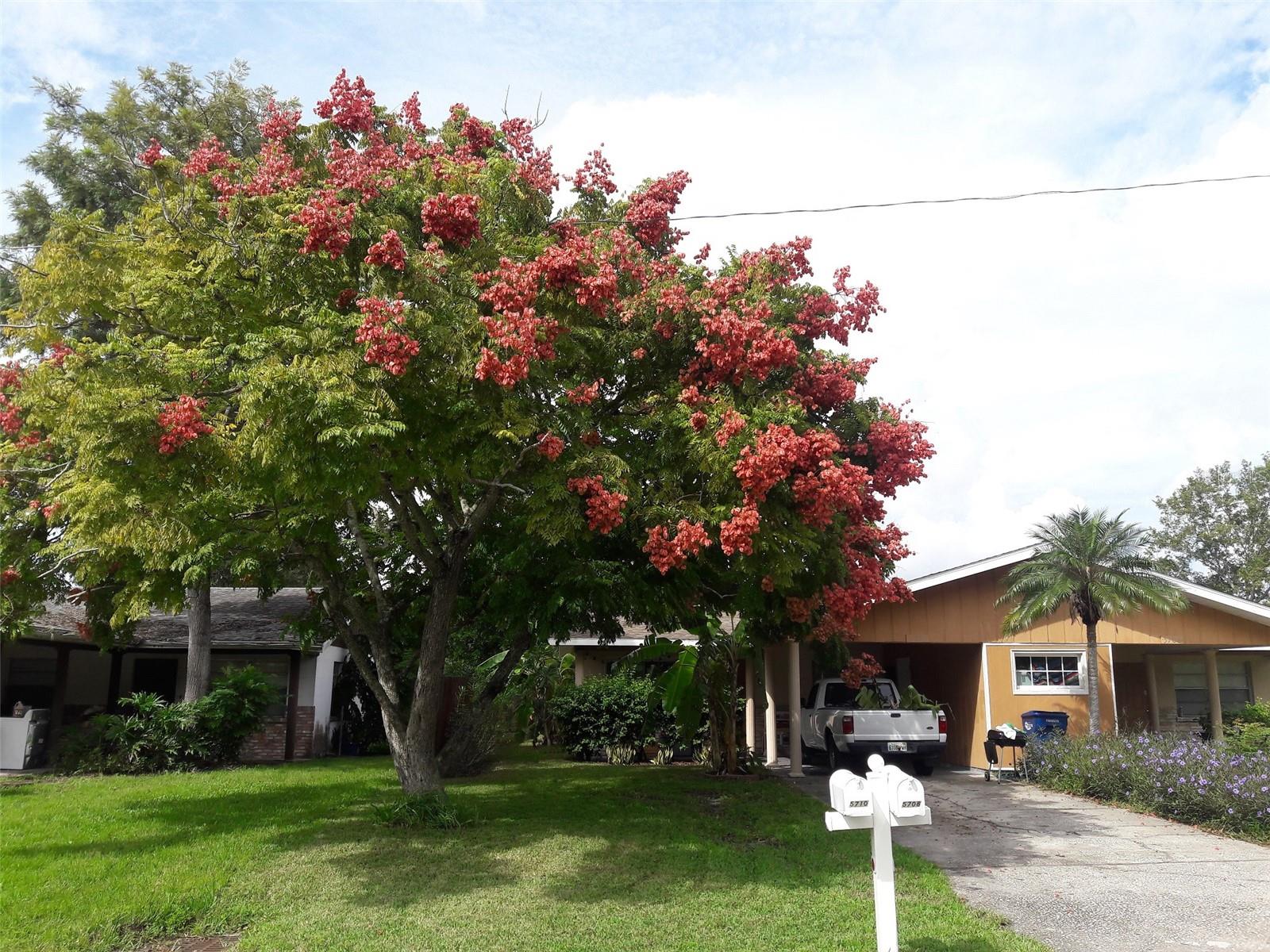 Details for 5708 2nd Street, BRADENTON, FL 34207