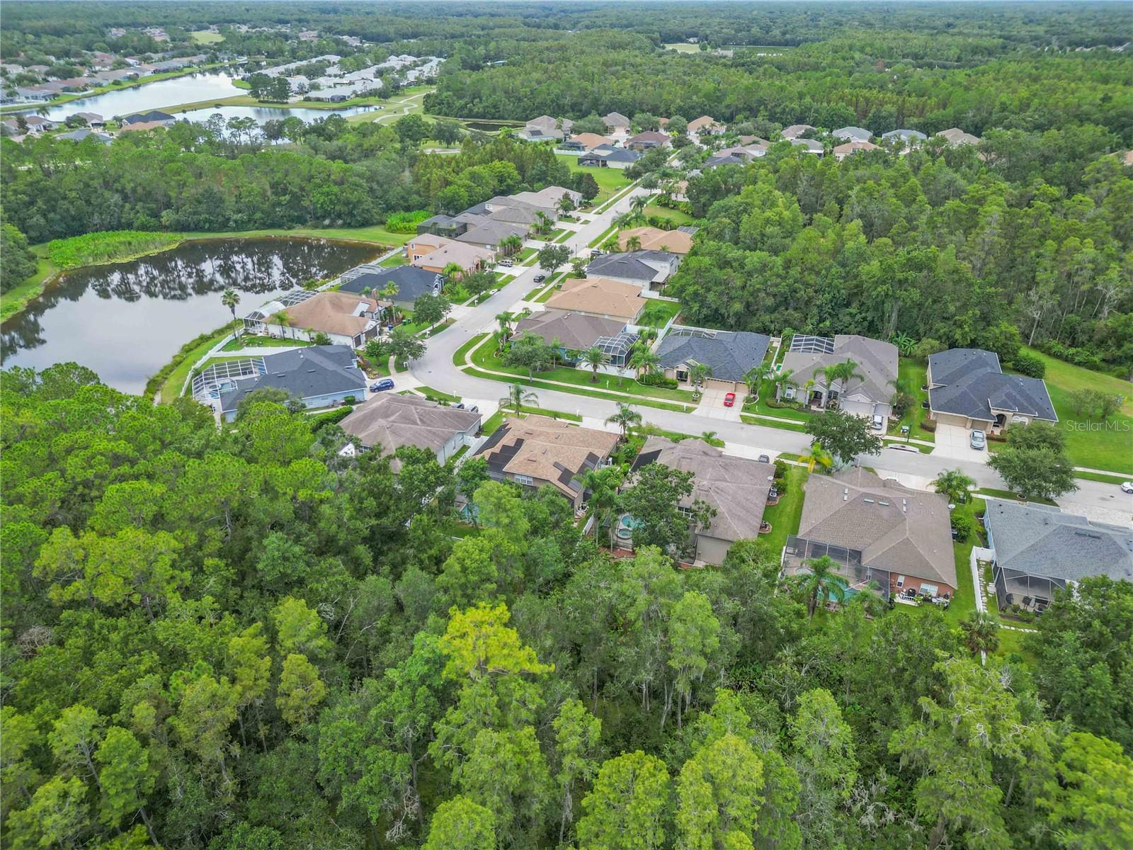 Listing photo id 64 for 5042 Silver Charm Terrace