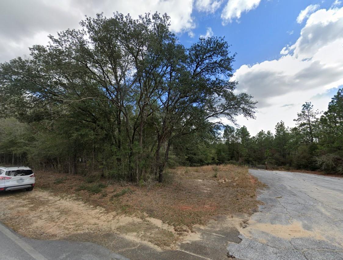 Image 2 of 5 For Lake Silver Road