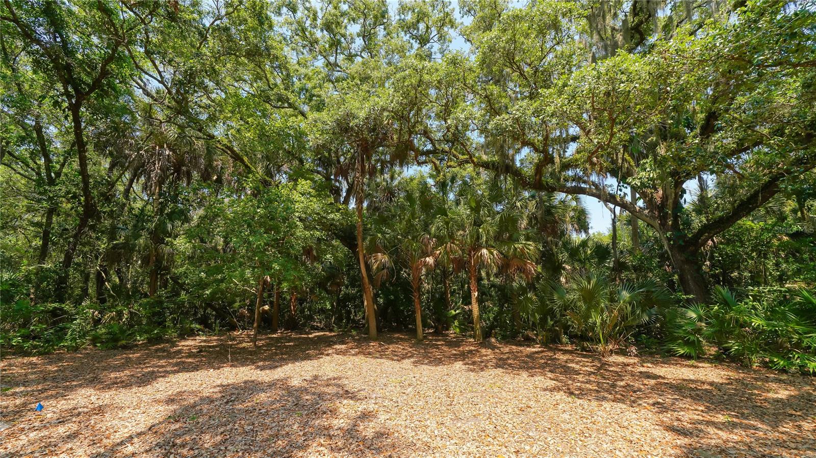 Image 39 of 55 For 4855 Hoyer Drive