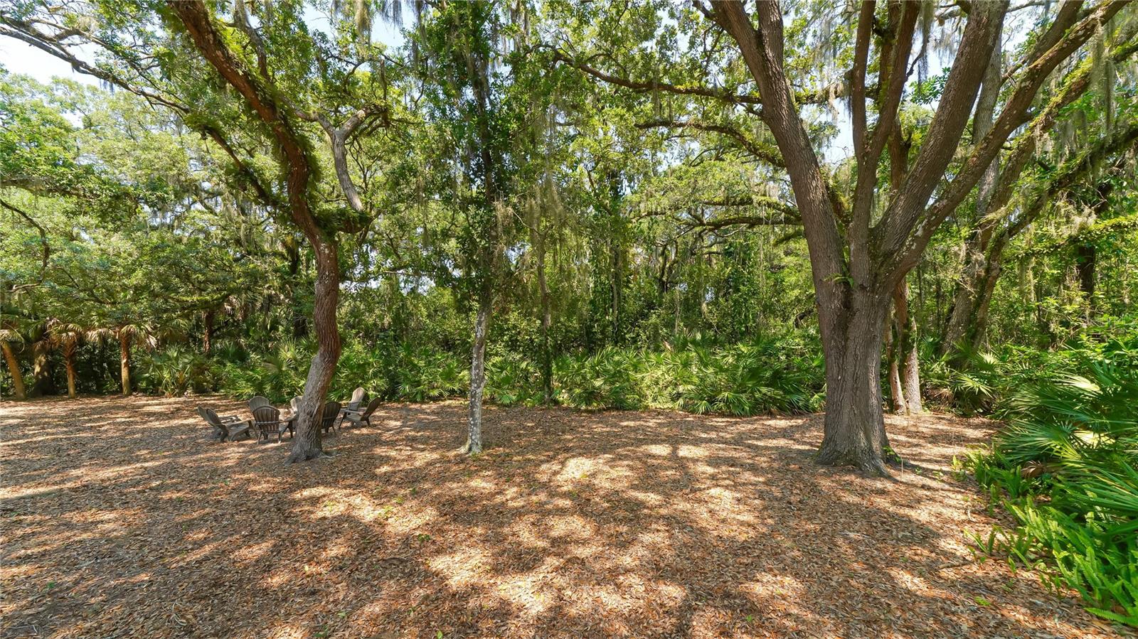 Image 41 of 55 For 4855 Hoyer Drive